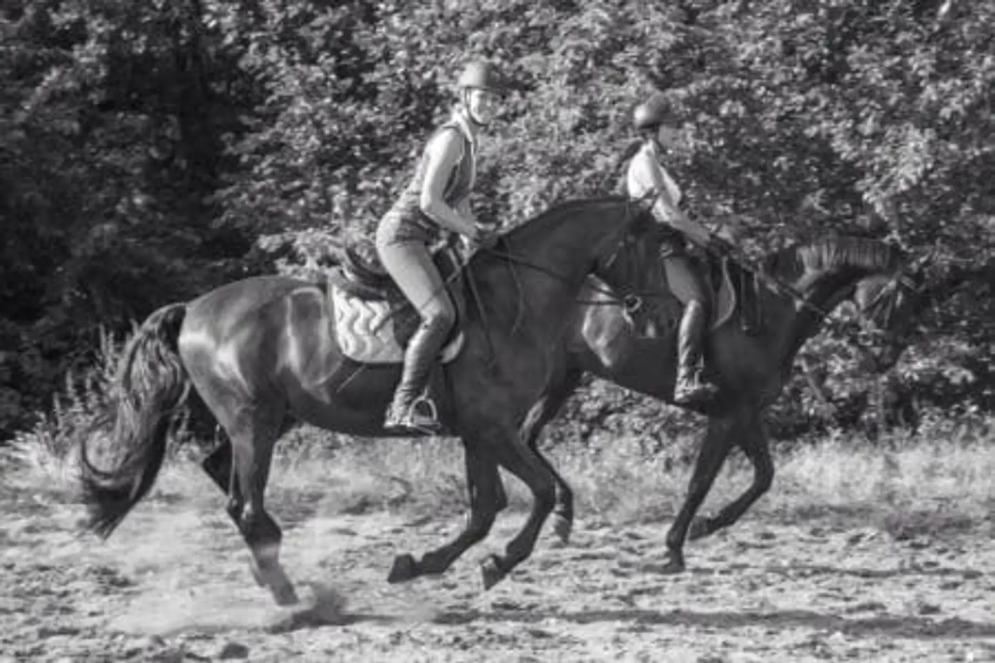 Horse Holidays France
