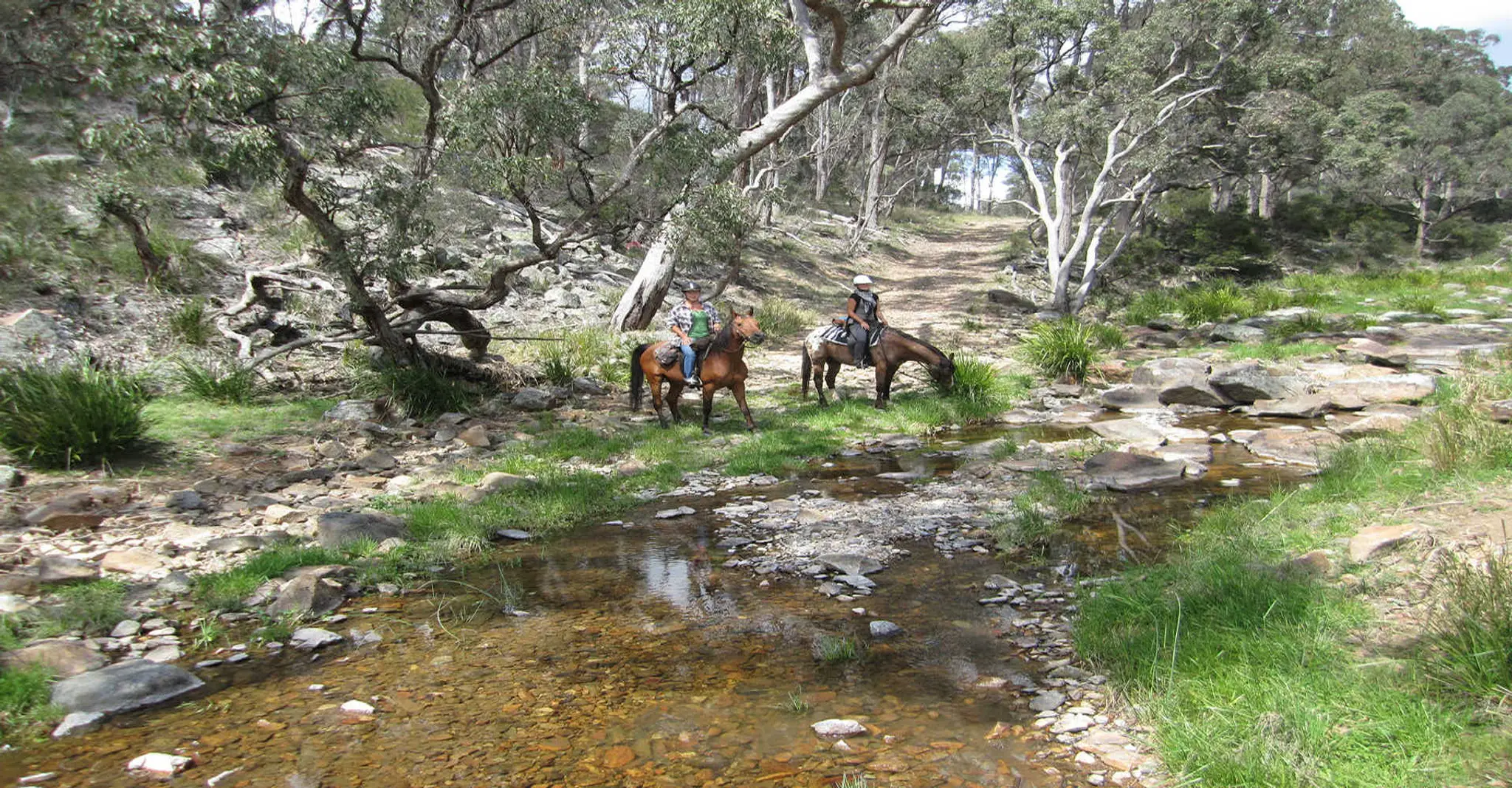 Three Waters High Country Holidays