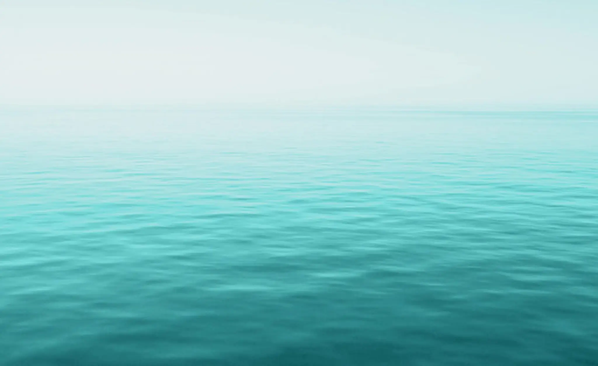 Endless Shore Yoga and Meditation