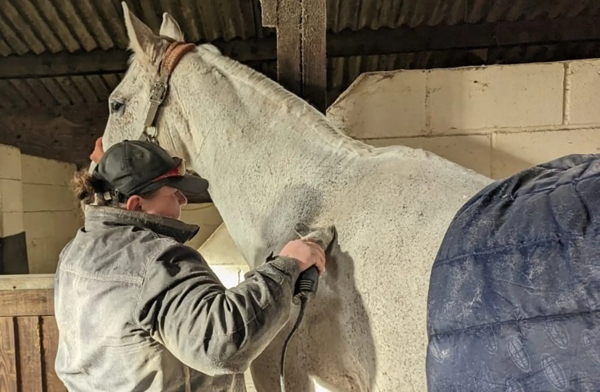 Samantha Taylor Equestrian Services