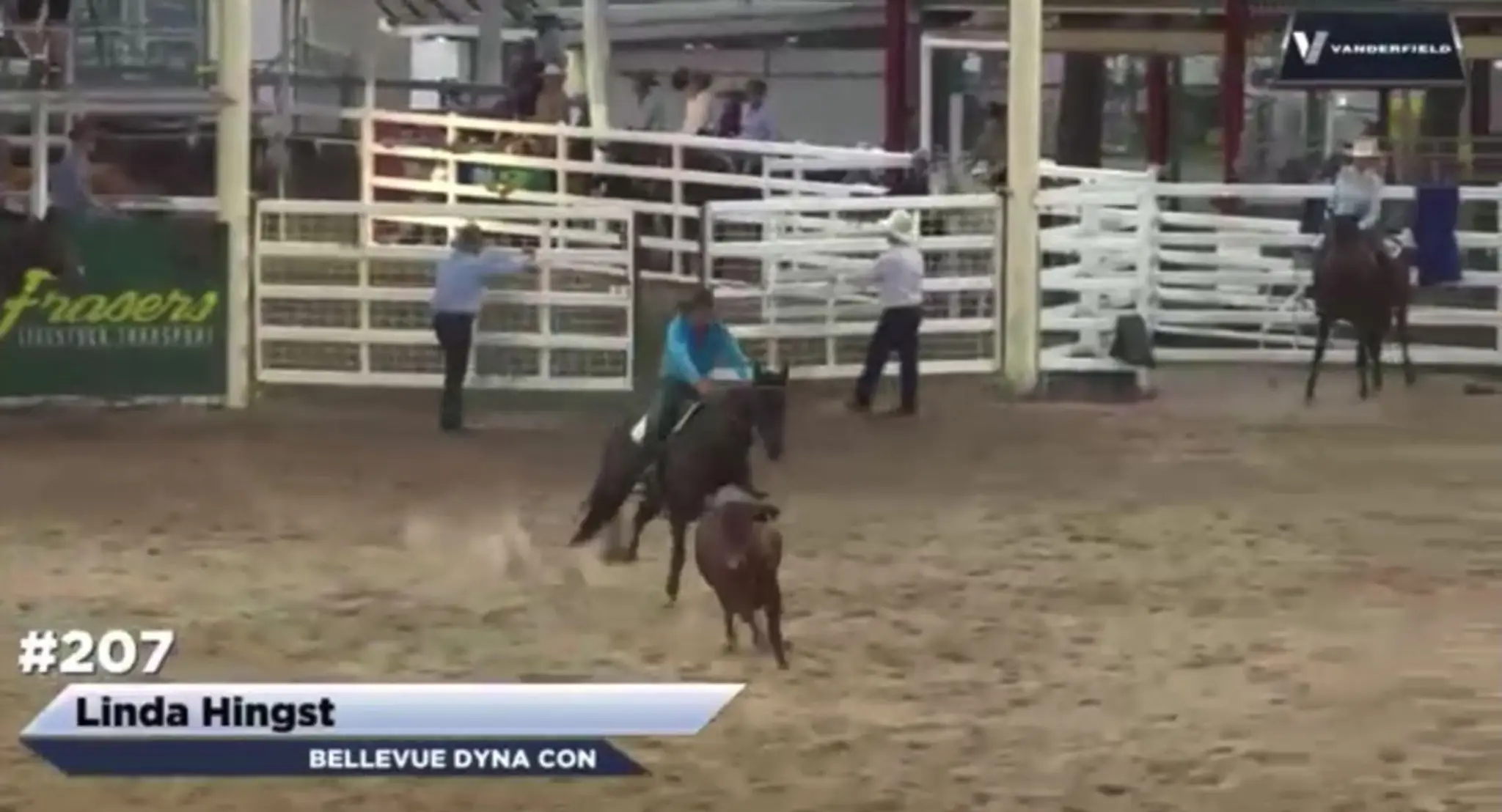 Kilcoy Cow Horse Club