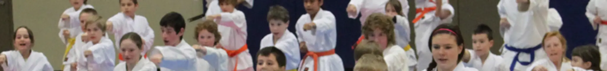 Kanamaru-Ha Sho Shoh-Ryu Karate-Do