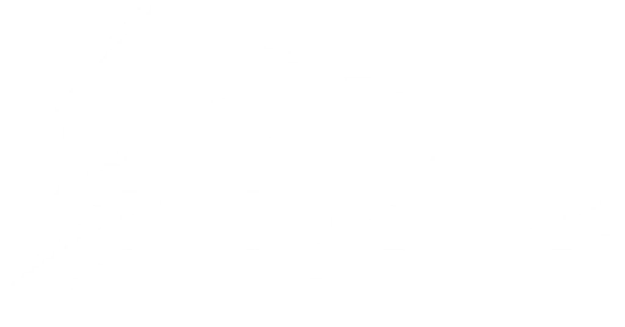 Club de Natation les Requins de Drummondville