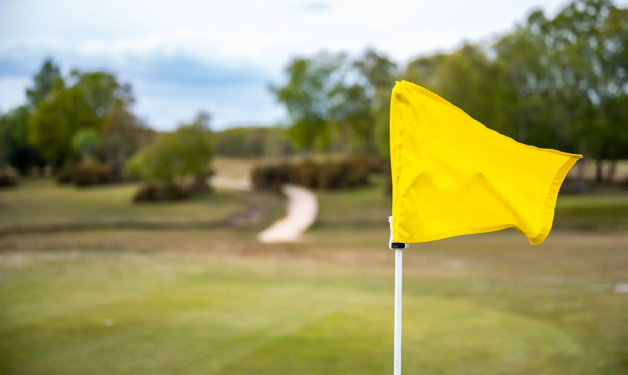 New Forest Golf Club