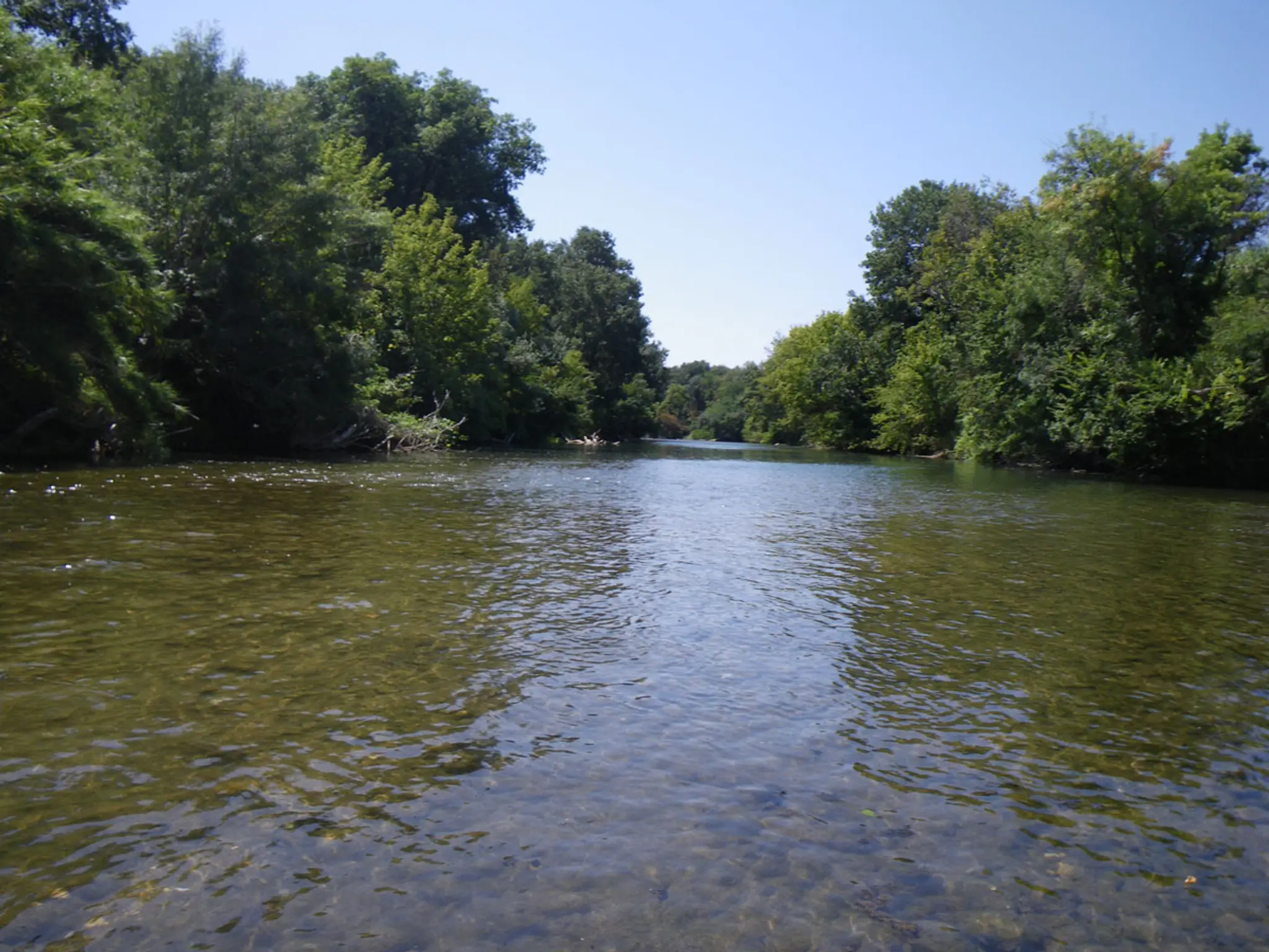 moniteur guide de pêche