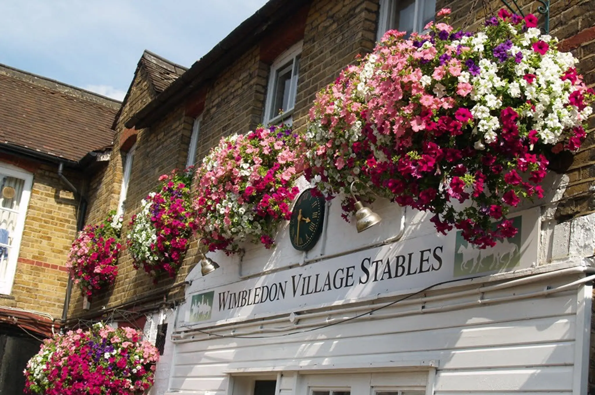 Wimbledon Village Stables