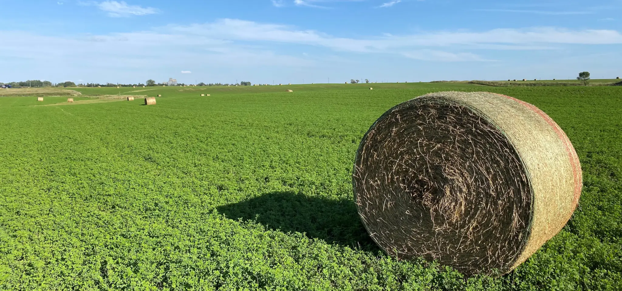 Hartney Community Rink