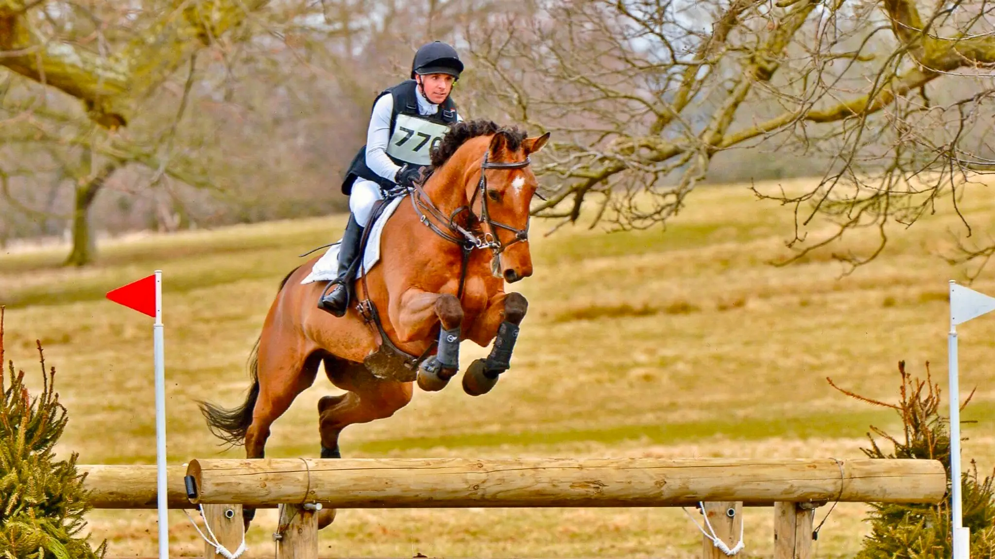 Park View Equestrian Centre