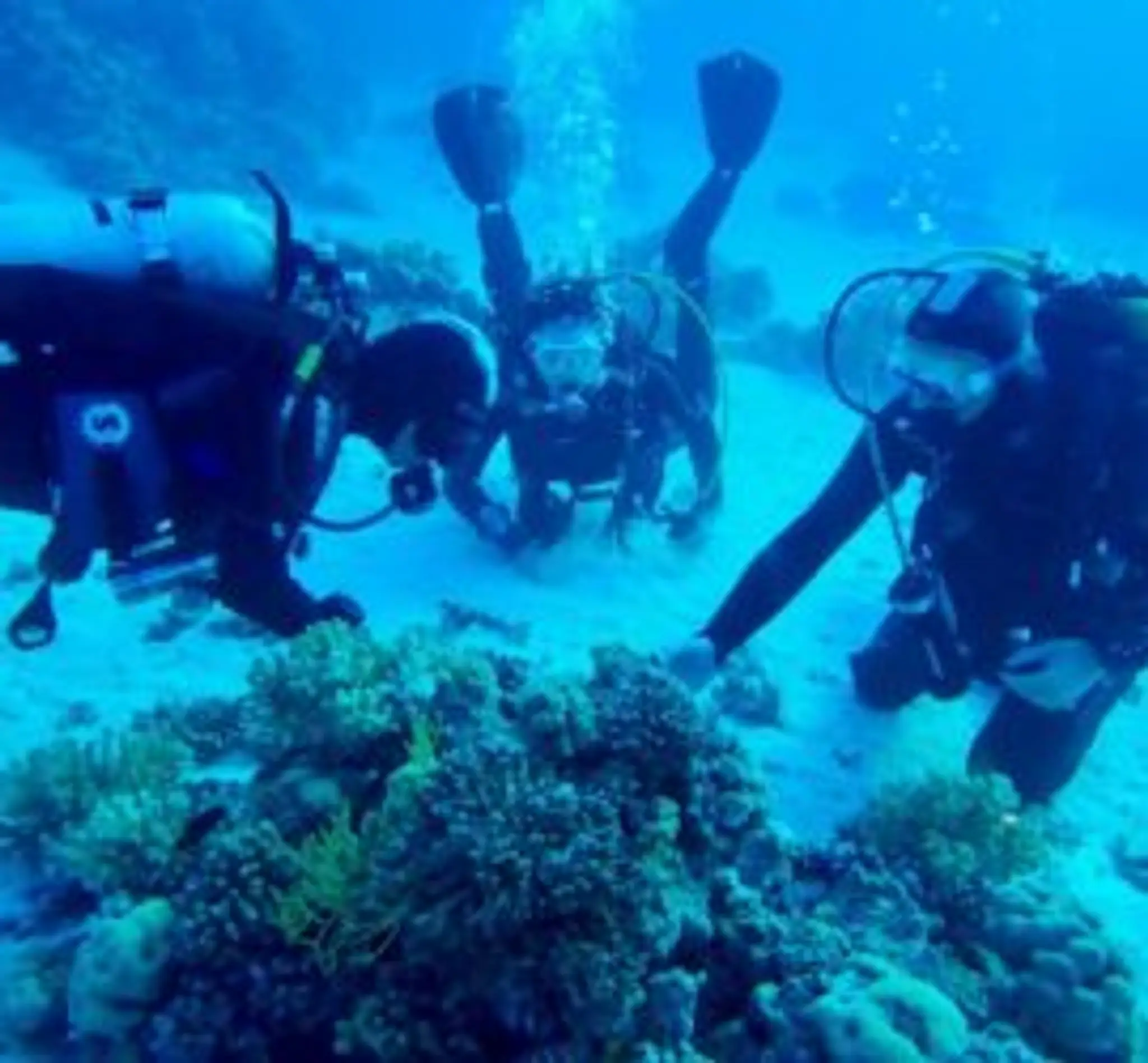 Club Amical de Plongée