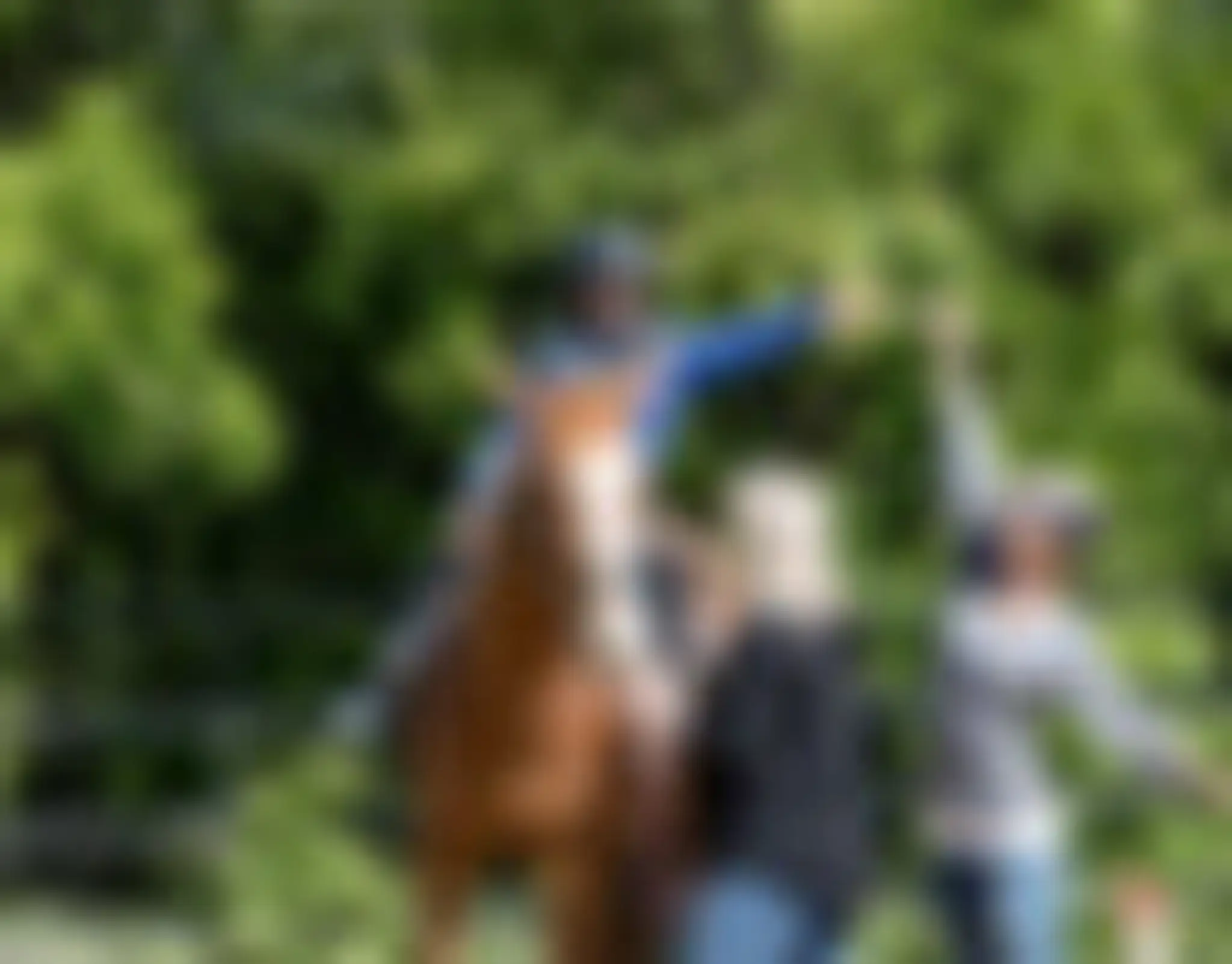 Le Domaine Du Chev'alli