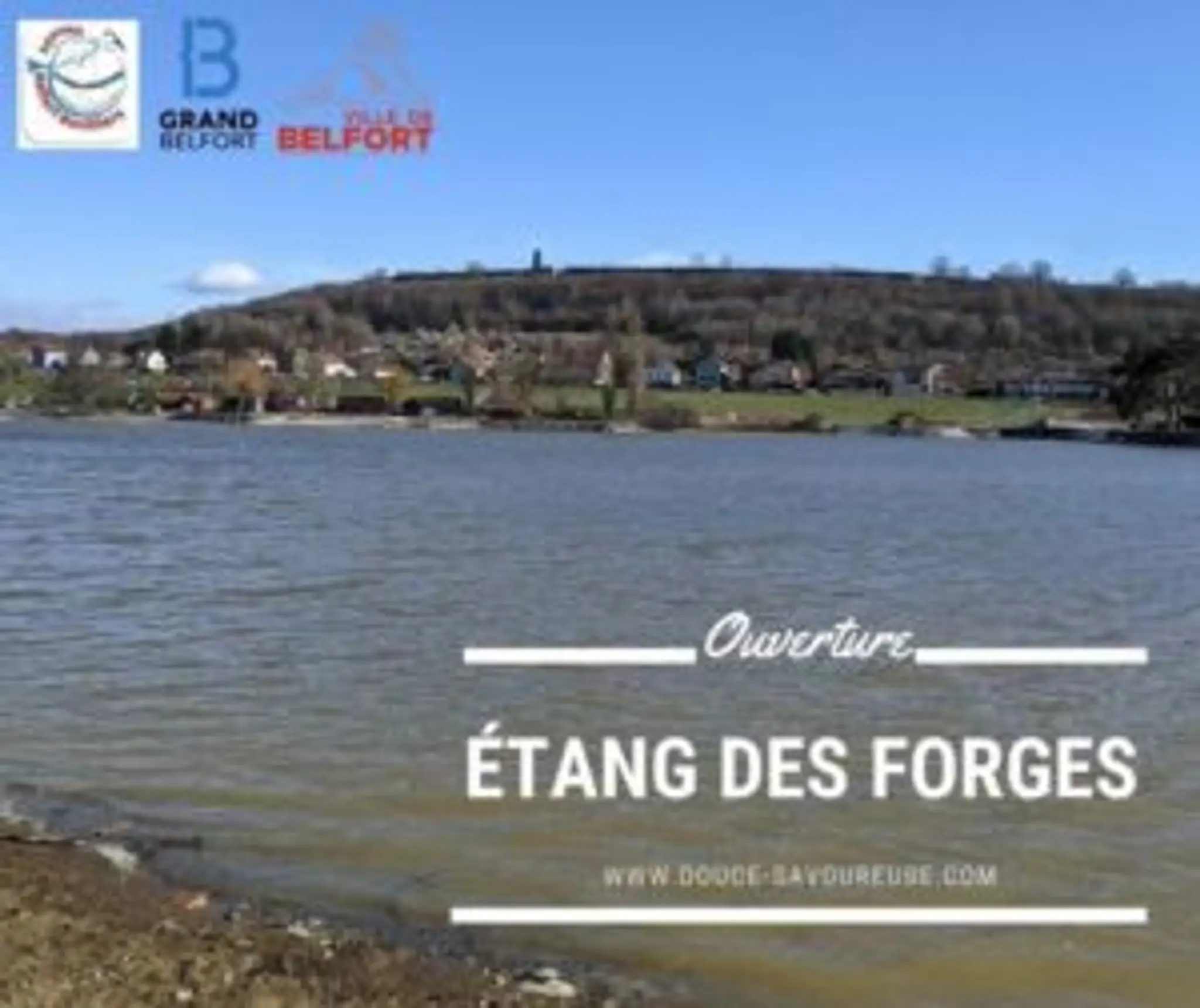 Étangs des Ayeux Aappma Belfort Bavilliers