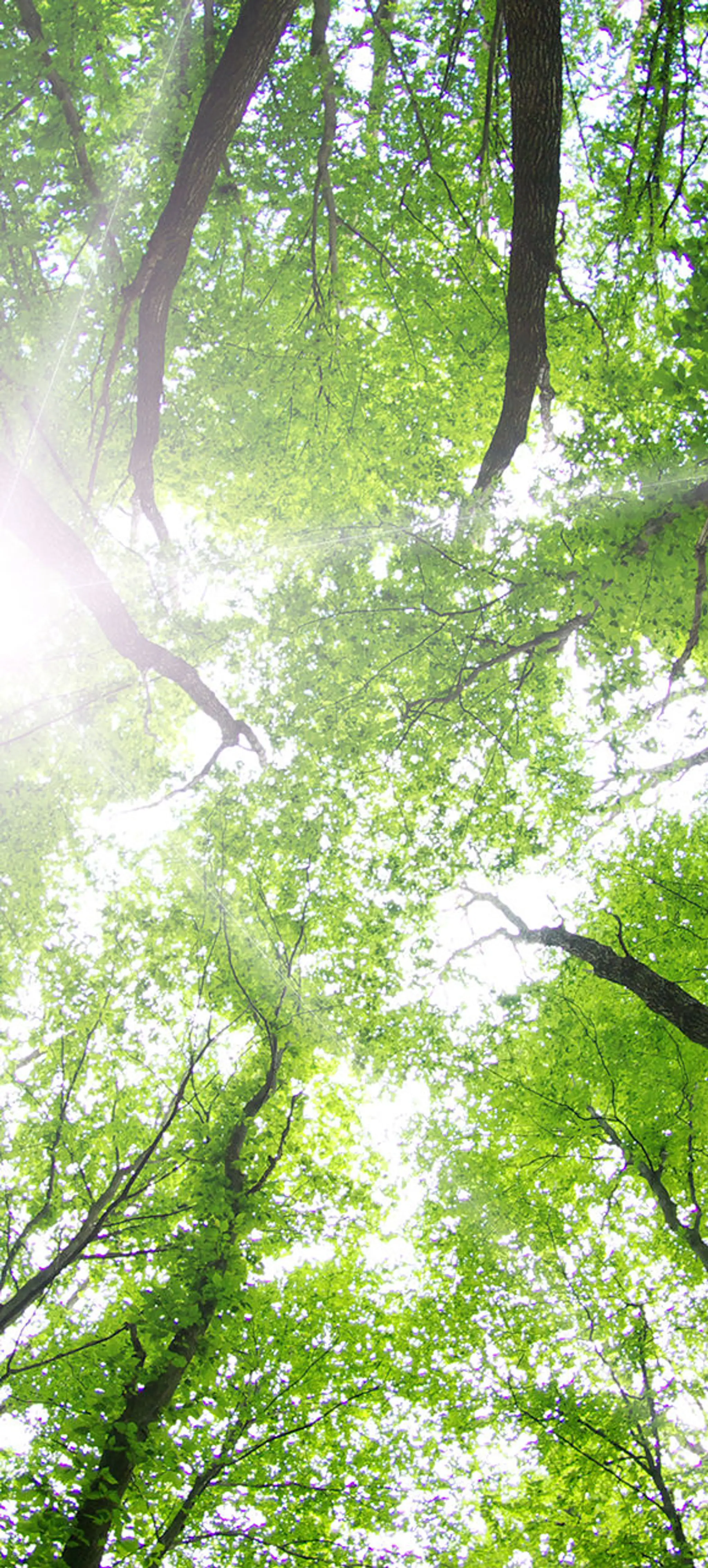 Yoga @ Wellbeing with Rachel