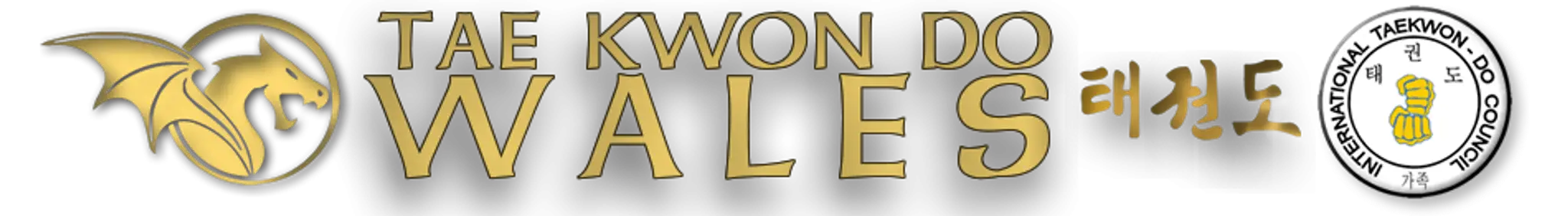 Tae Kwon Do Wales