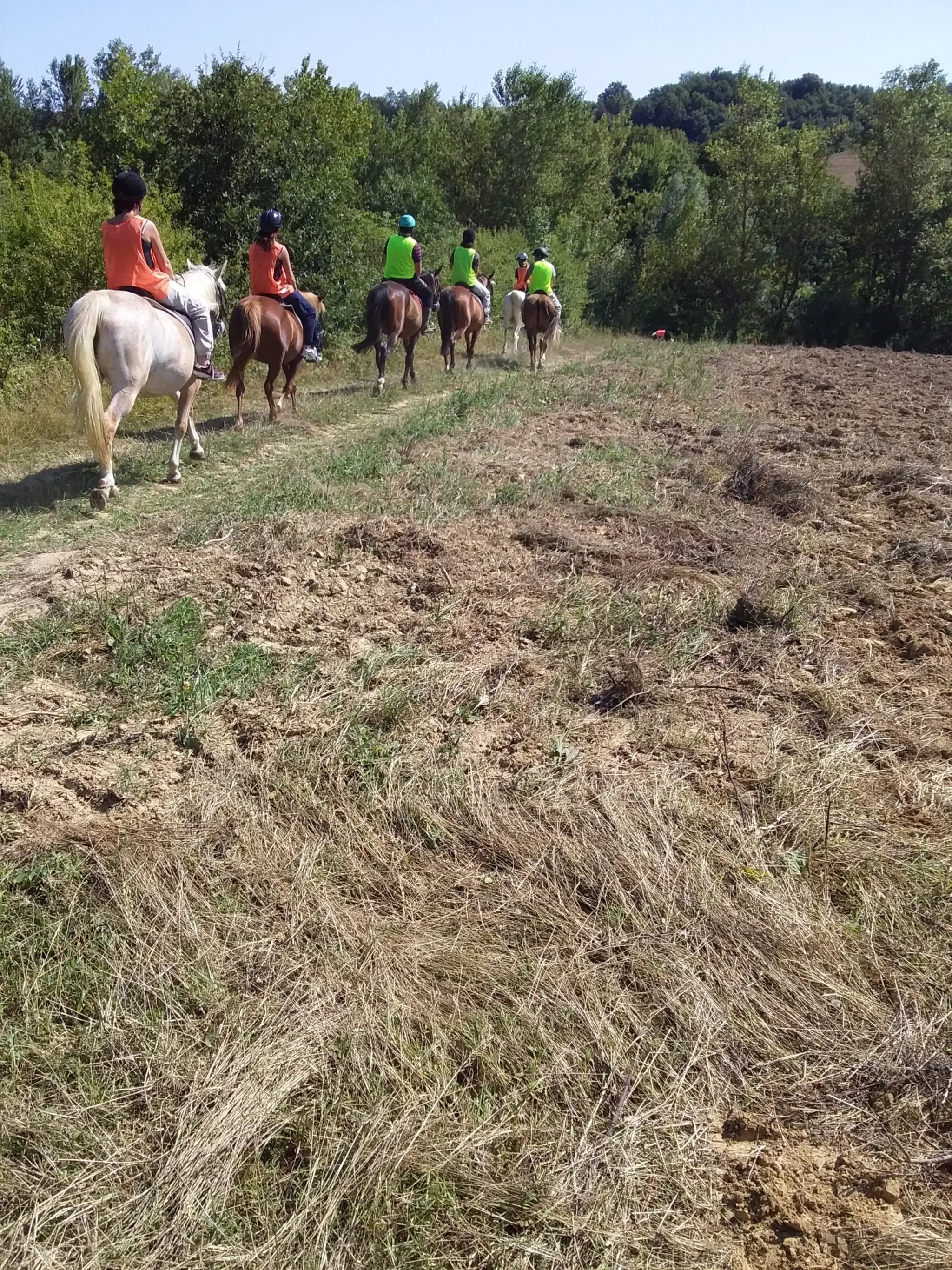 Au Grand Galop ( GAEC)