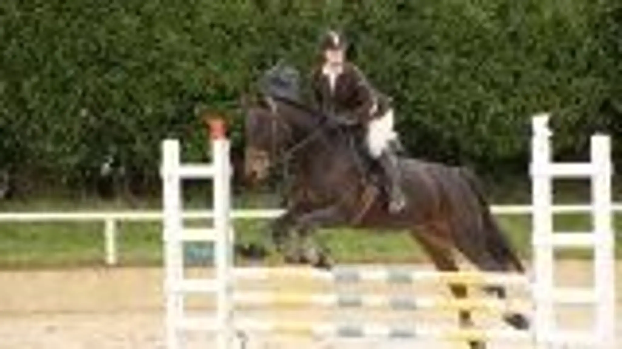 Equestrian Center De L Alliance