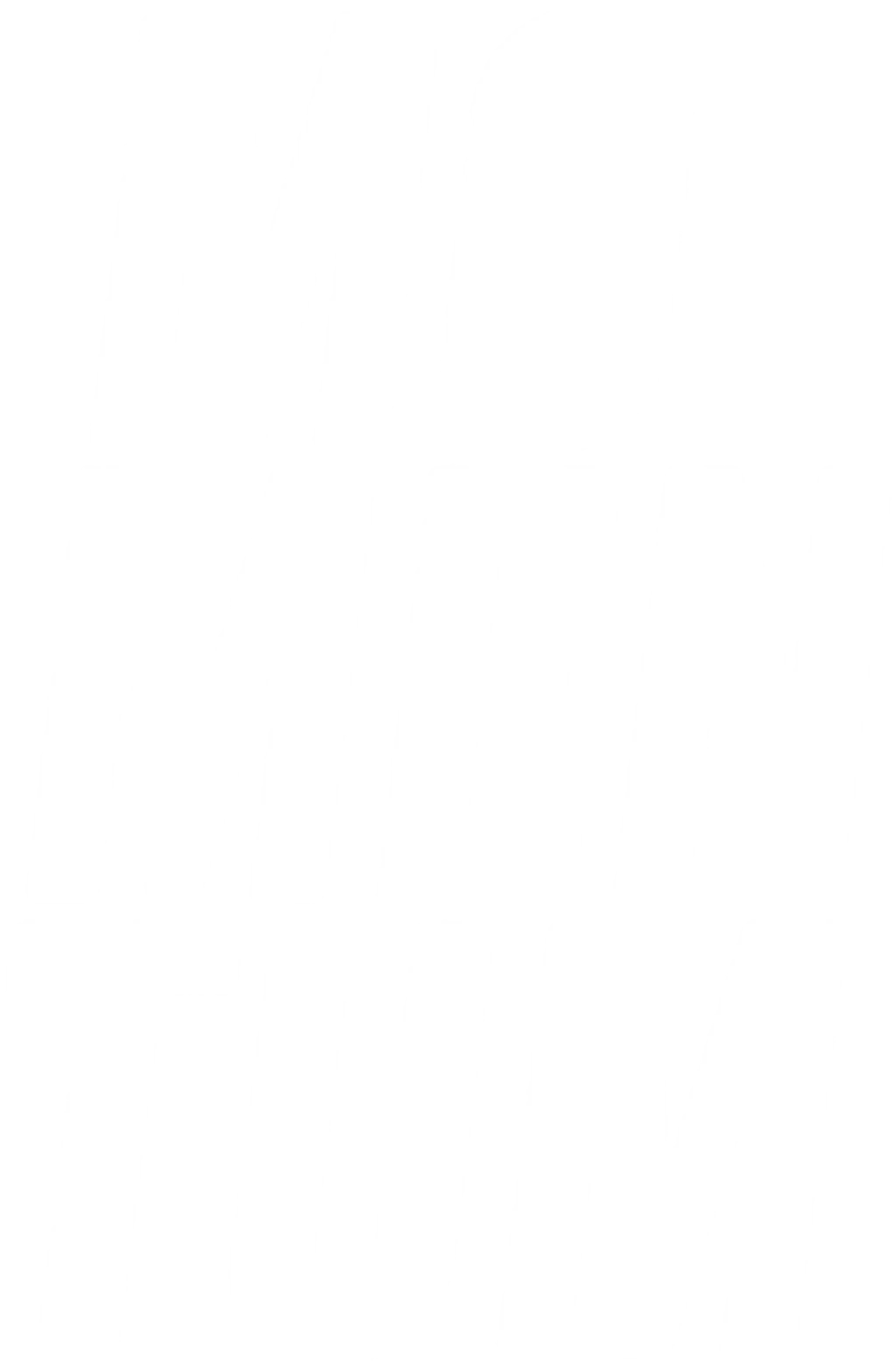 Studio Momentum