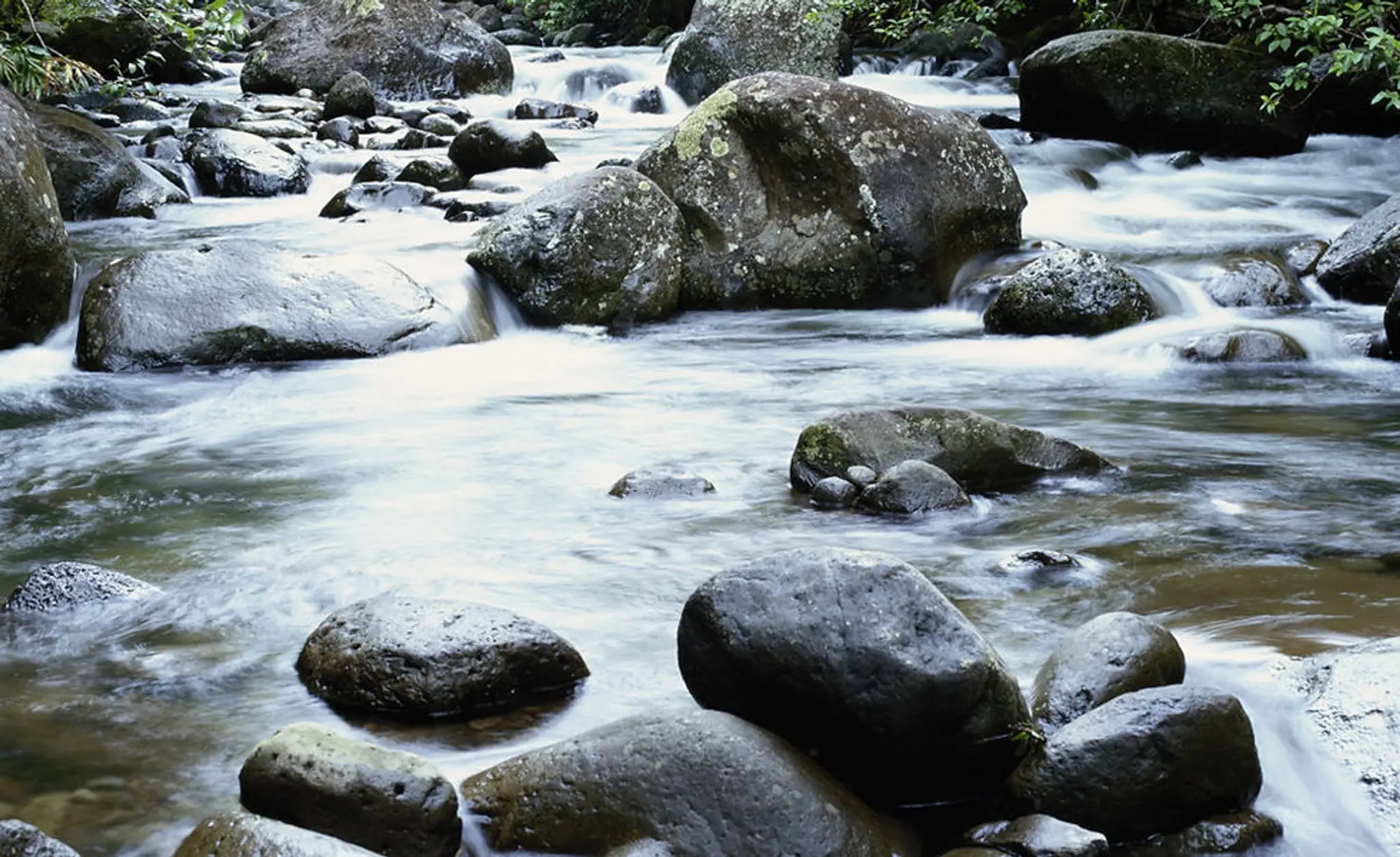 Barry Mitchell Fly Fishing