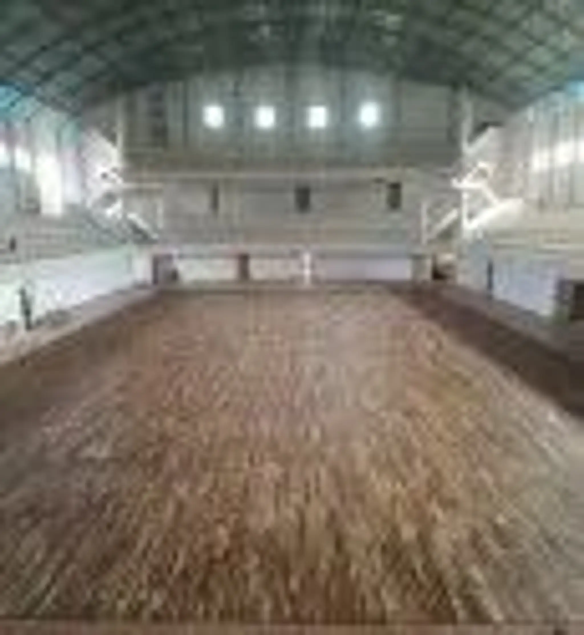 Badminton Court - Ricochet Surfaces LLP | Basketball Court Flooring
