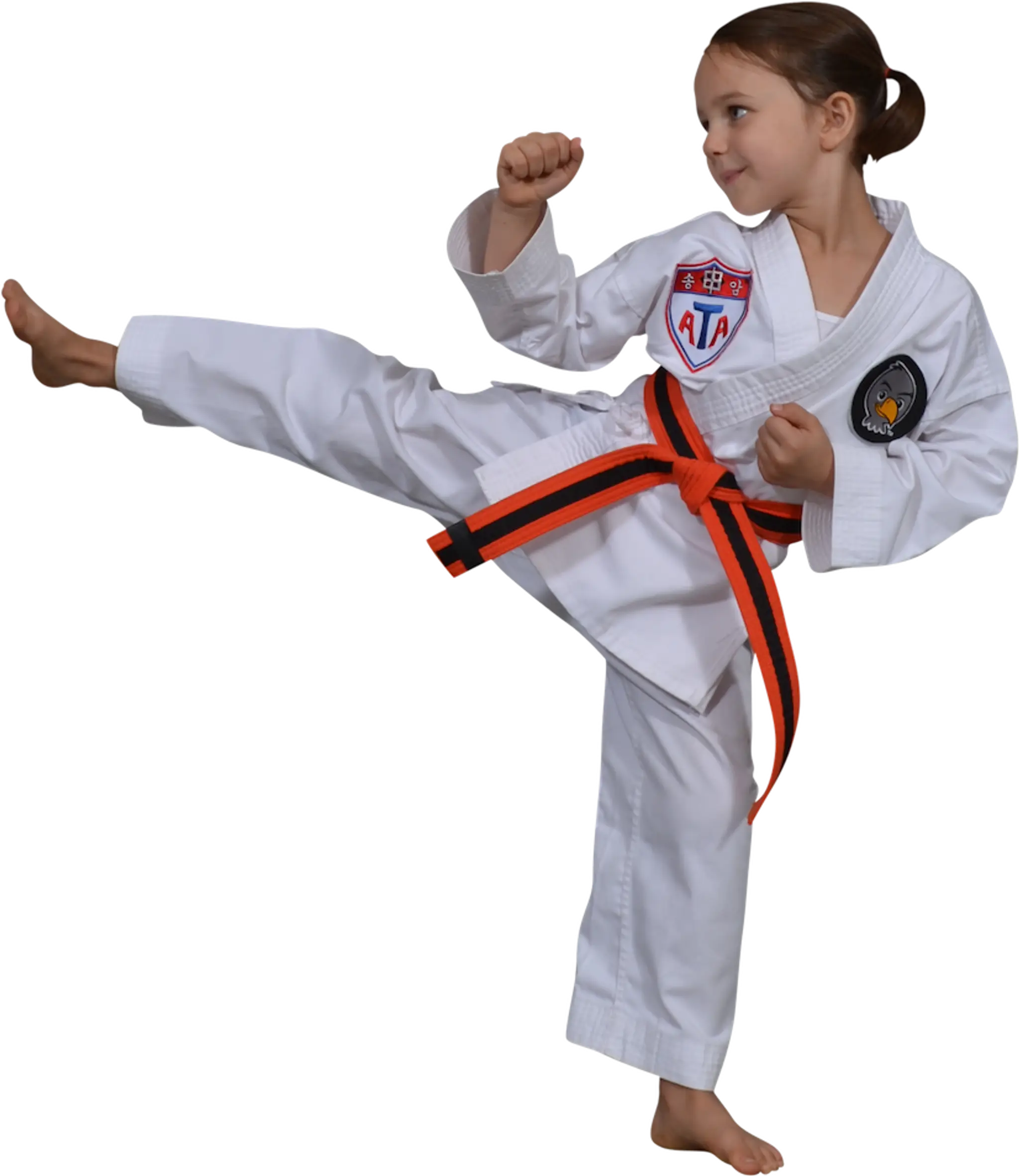 Aspire Martial Arts
