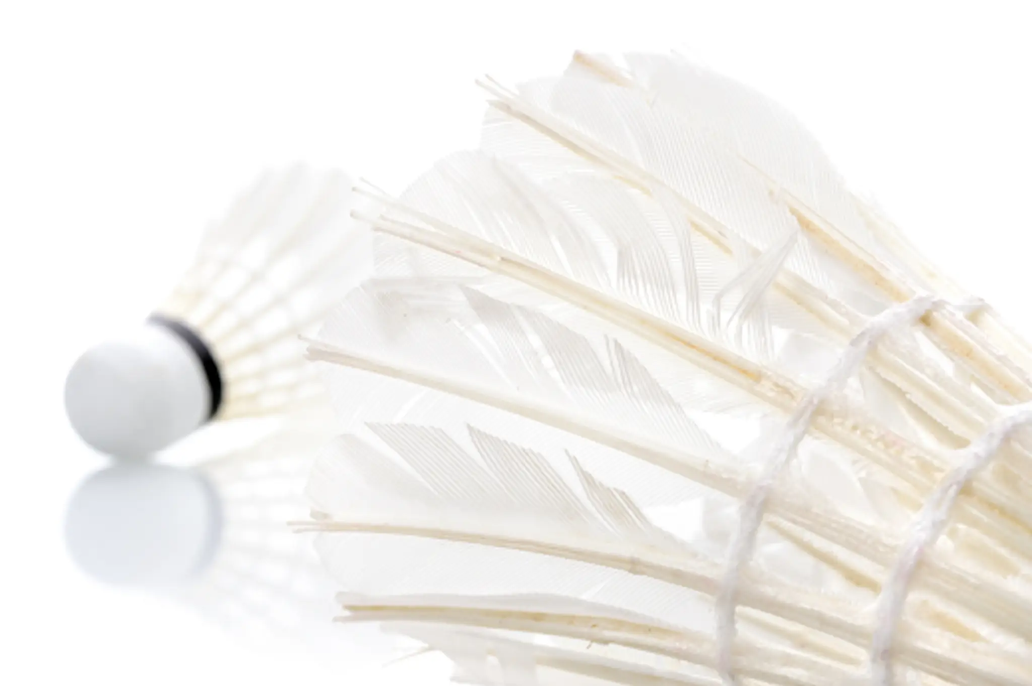 Newick Badminton Club