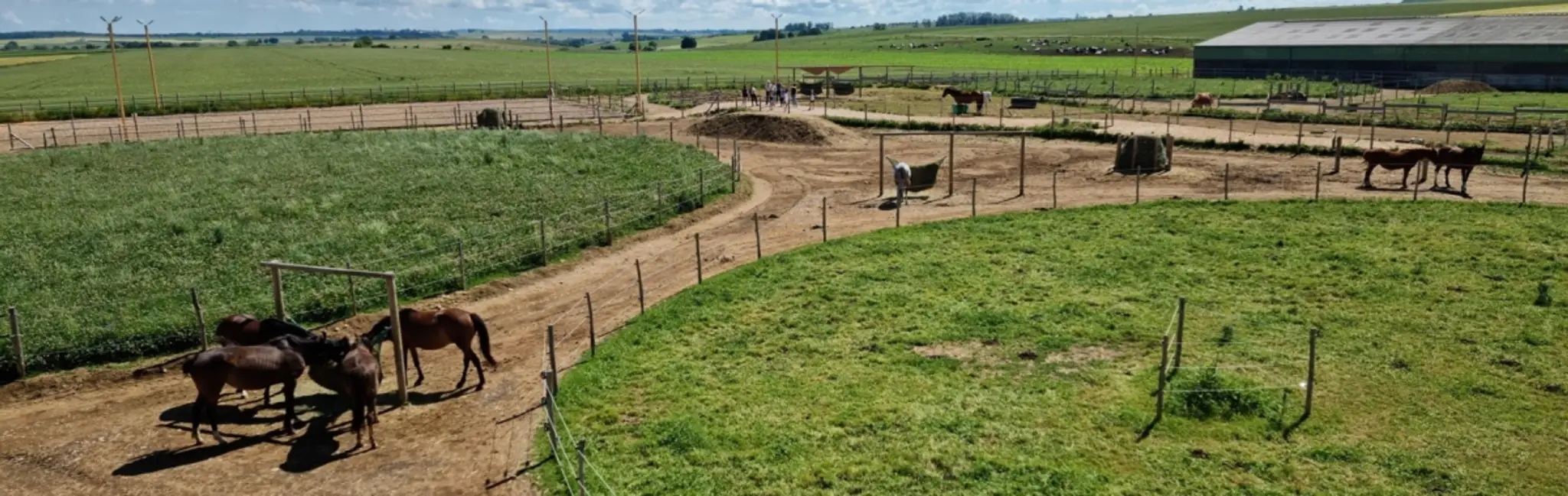 Horse Farm D'yggdrasil