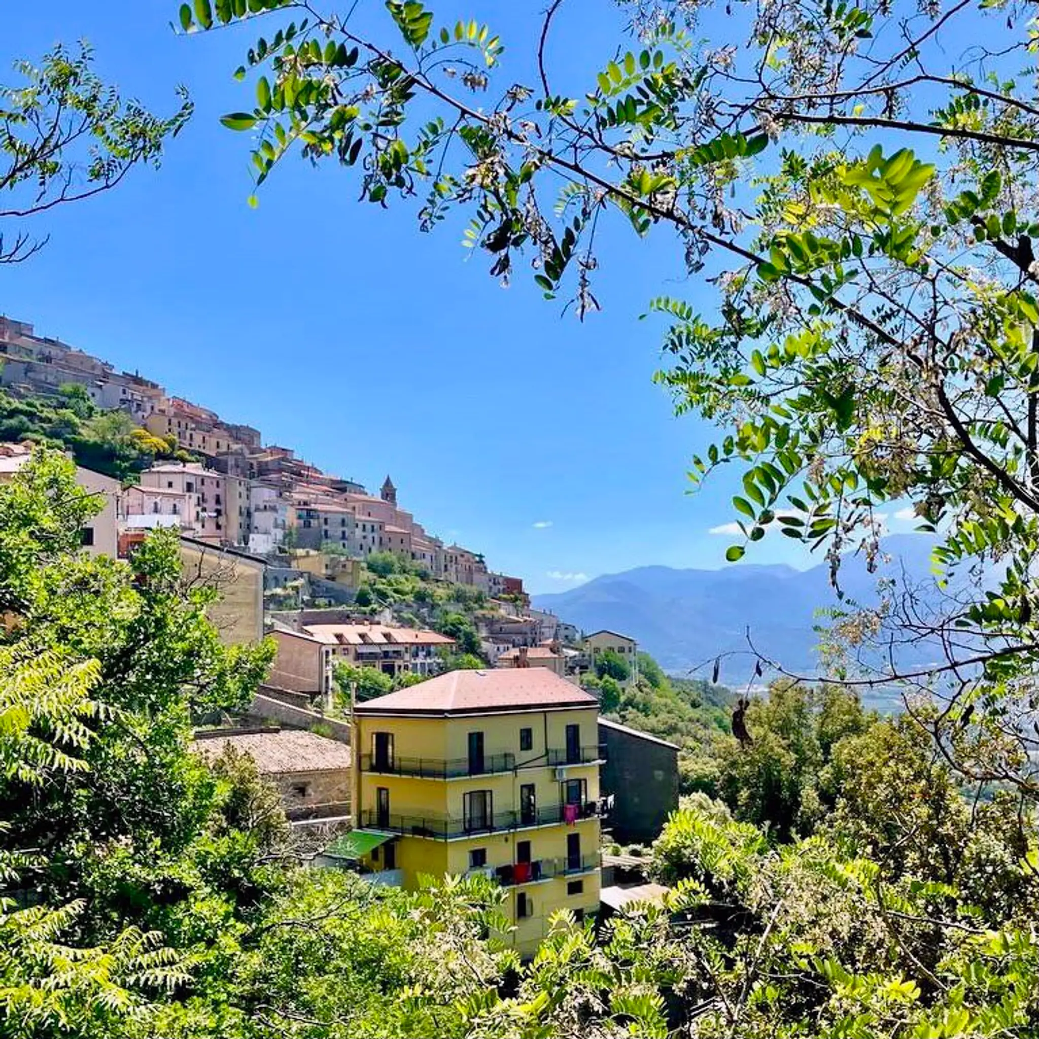 Oxana Ershova Yoga, Pilates