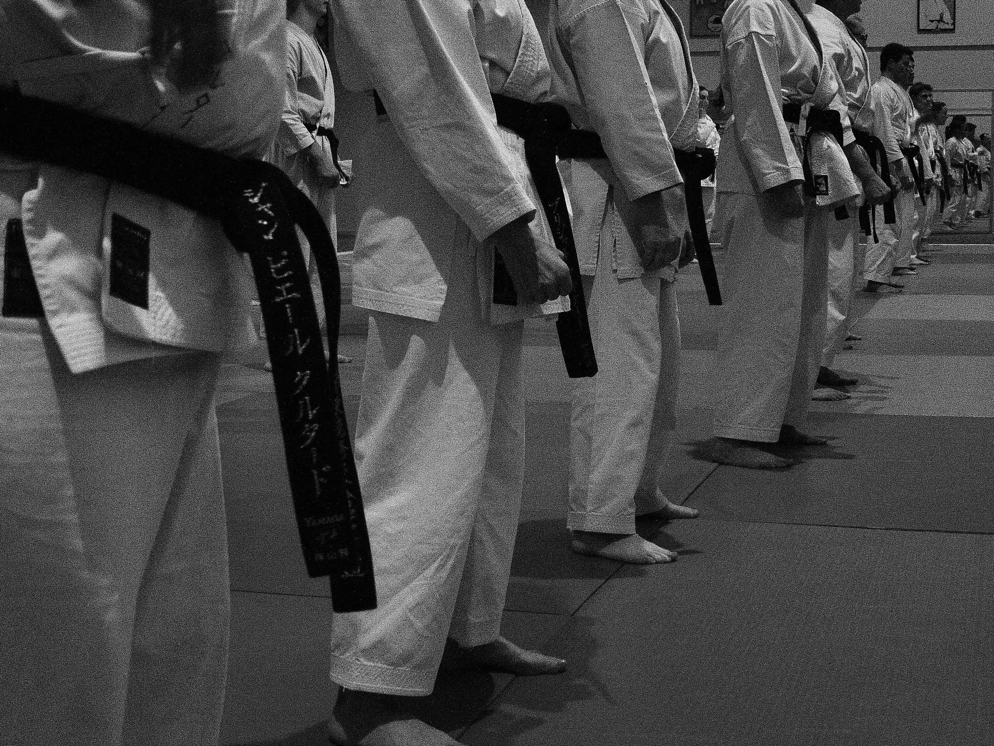 C'Chartres Karate Shukokaï