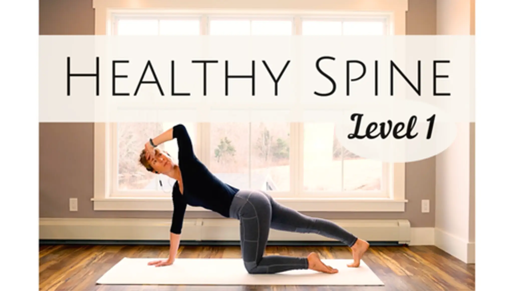 Zenith Workouts - Pilates Studio