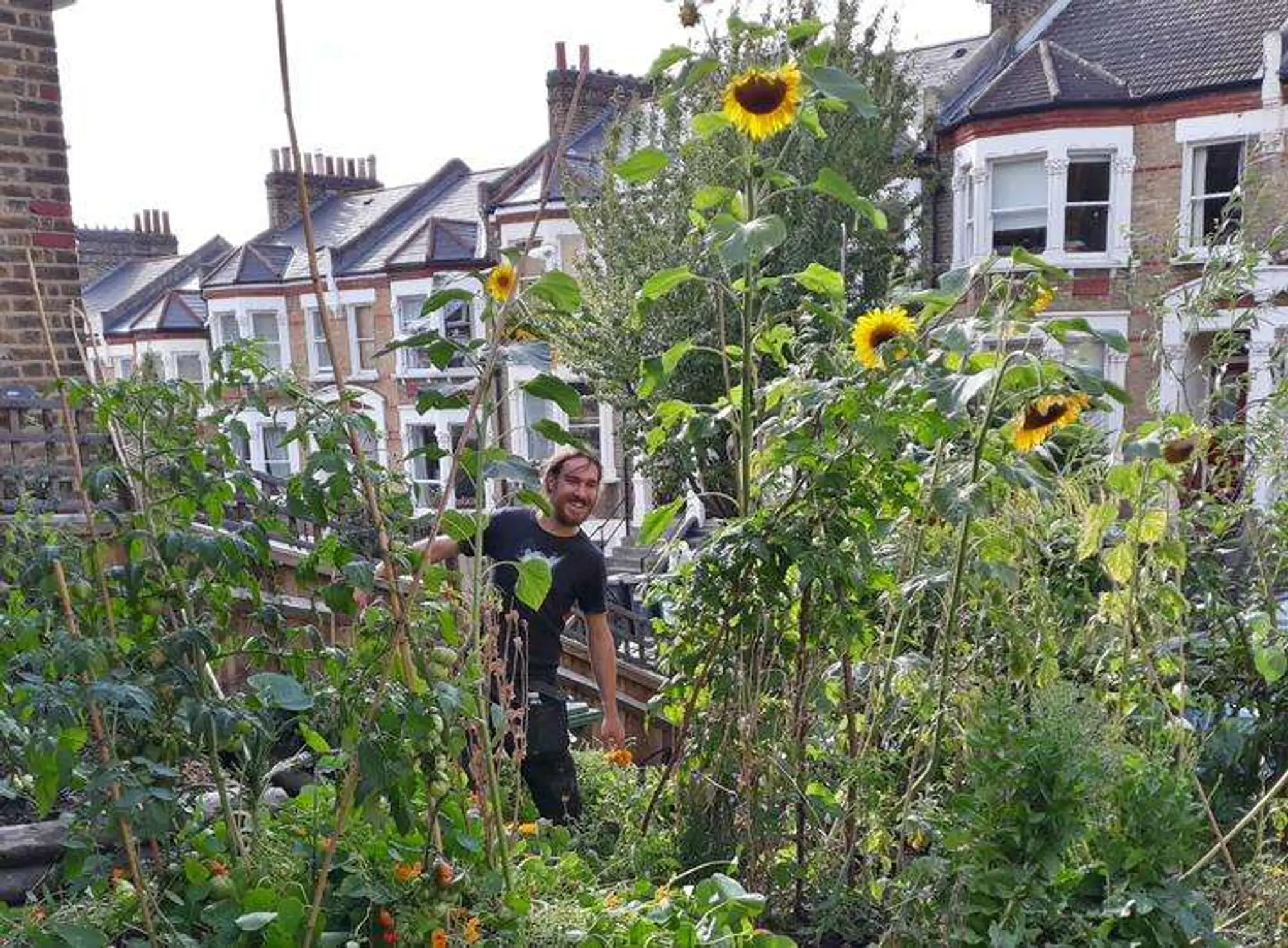 The Sunflower Centre