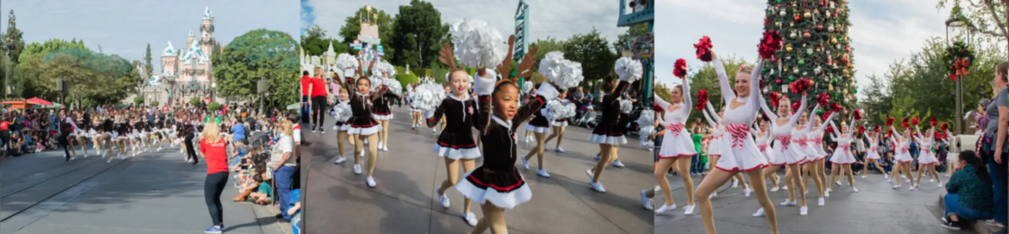 Markham School of Dance