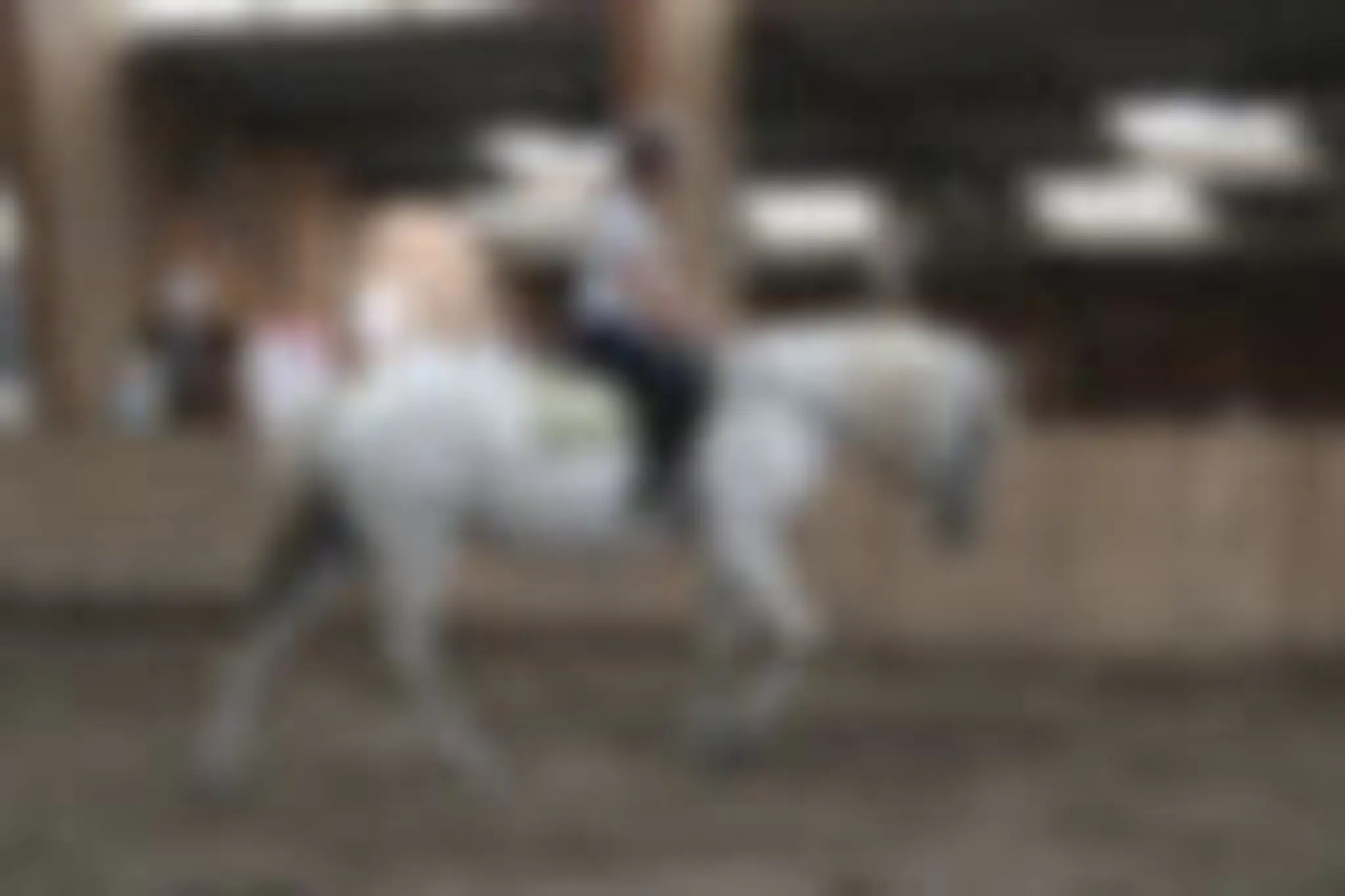 Centre equestre Equitapassion