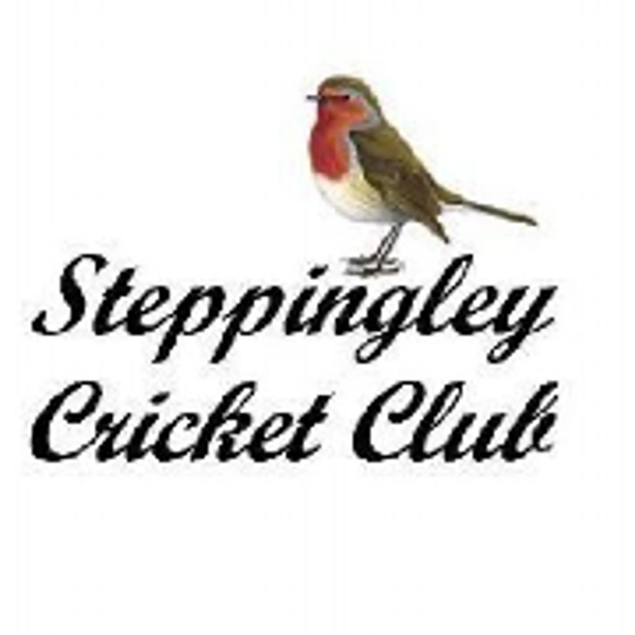 Steppingley Cricket Club
