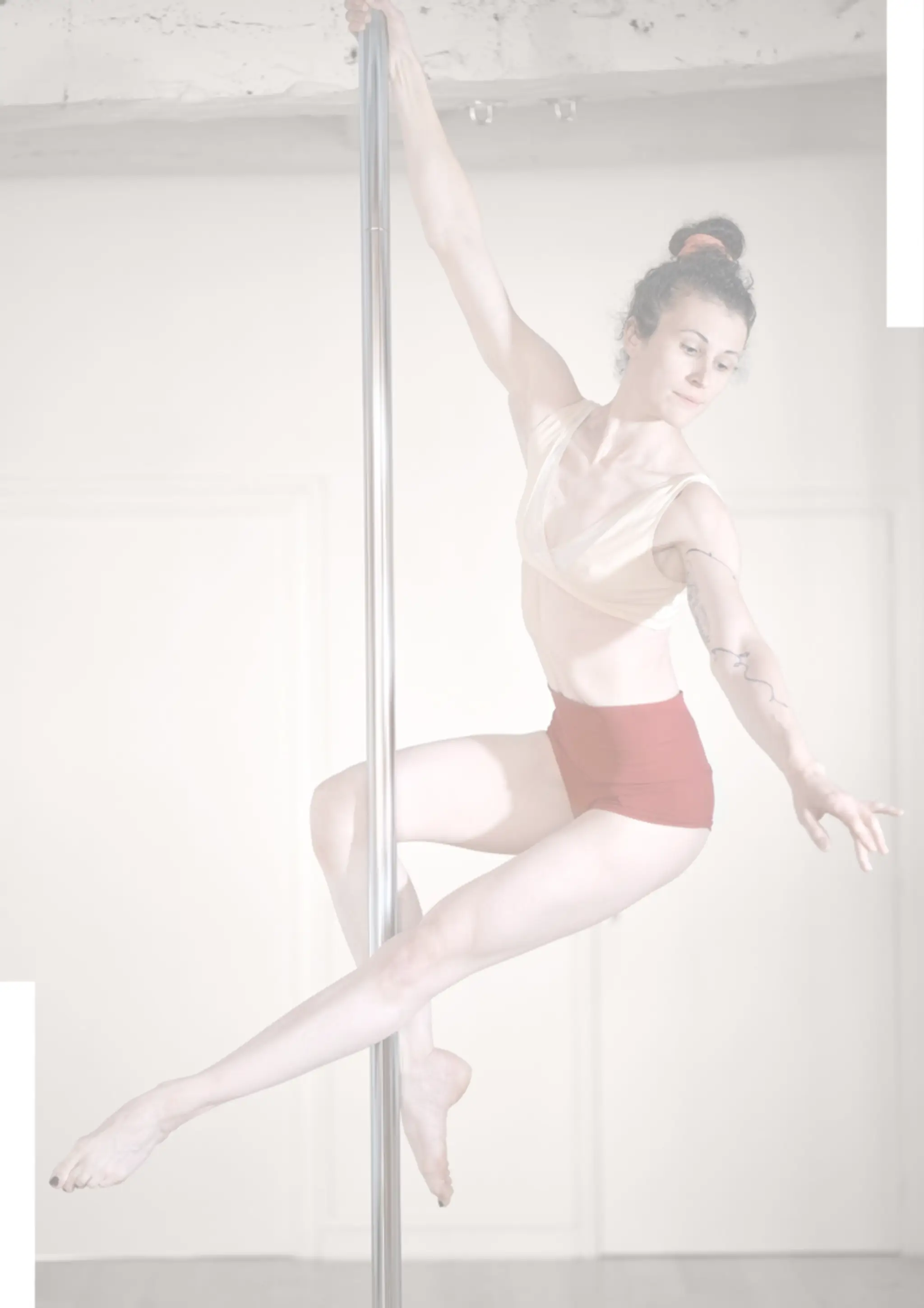 La Petite Sauvagère / Pole Dance Dinan