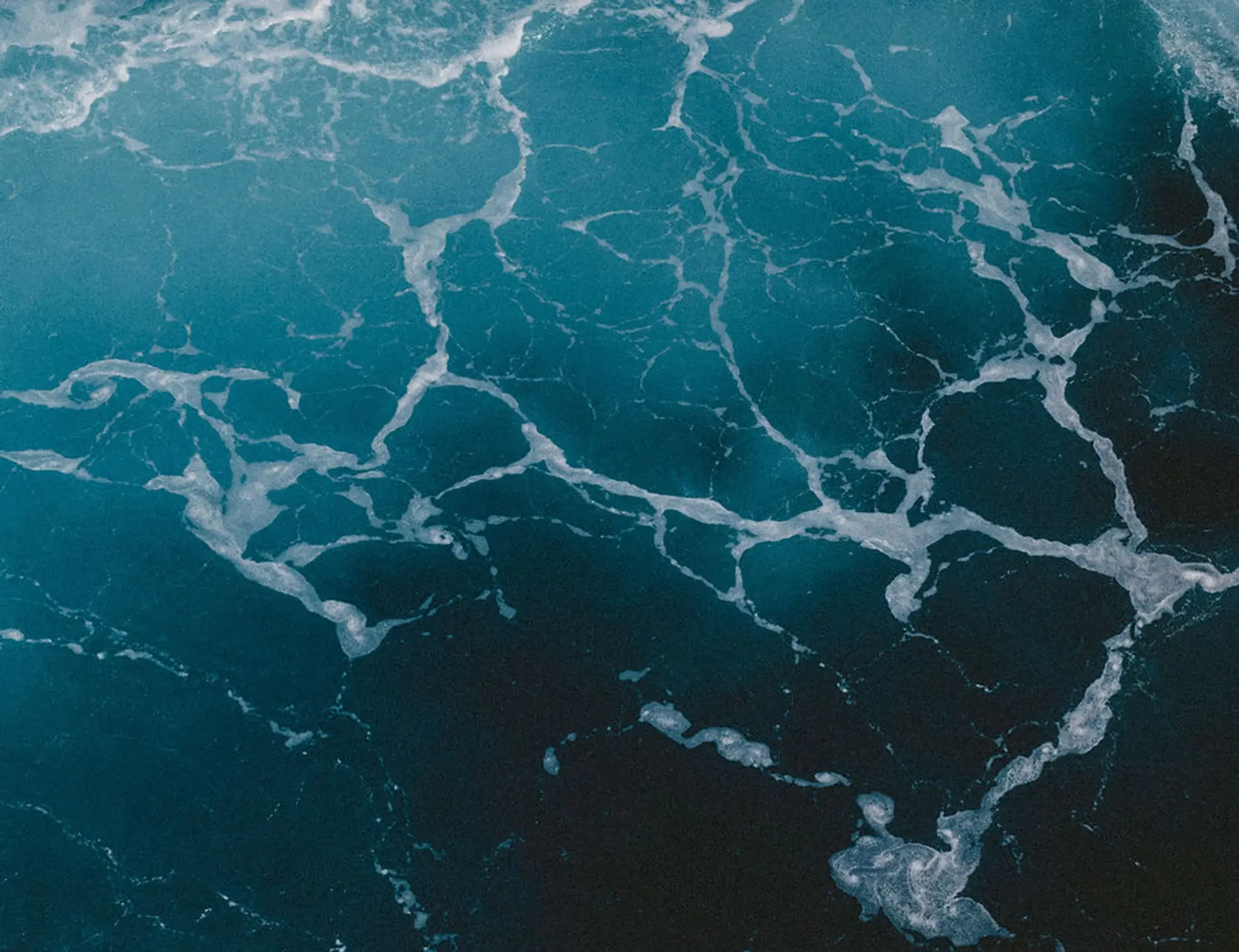 Tuck In Turkish Restaurant