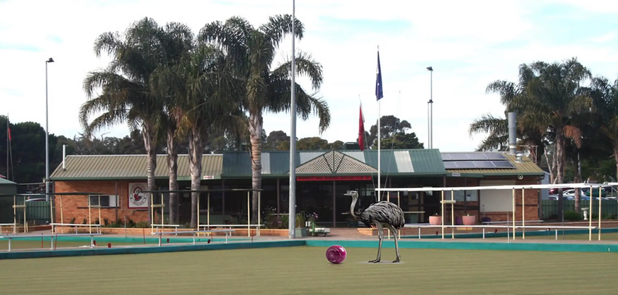 Morphett Vale Memorial Bowling Club
