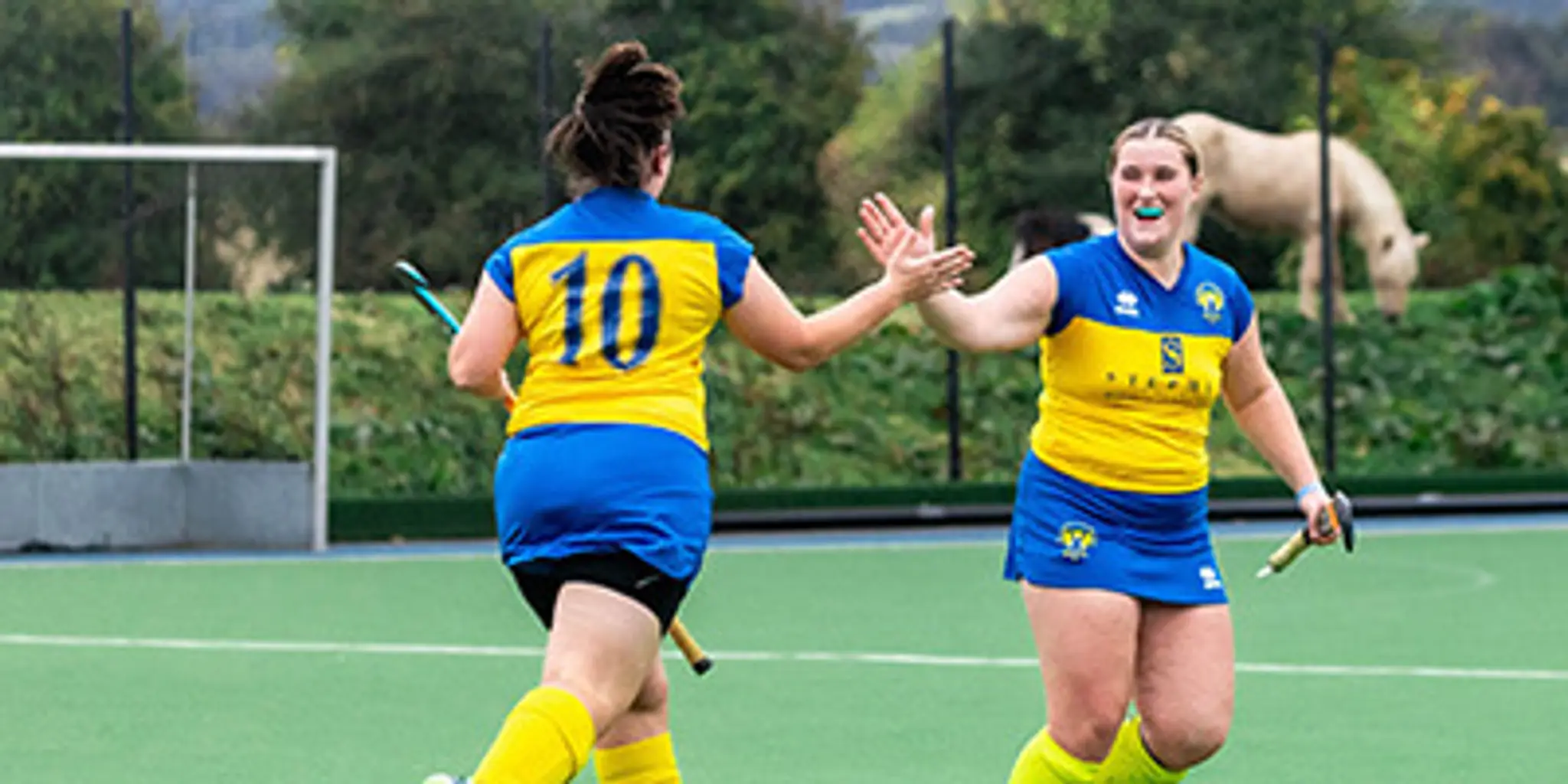 Perthshire Hockey Club