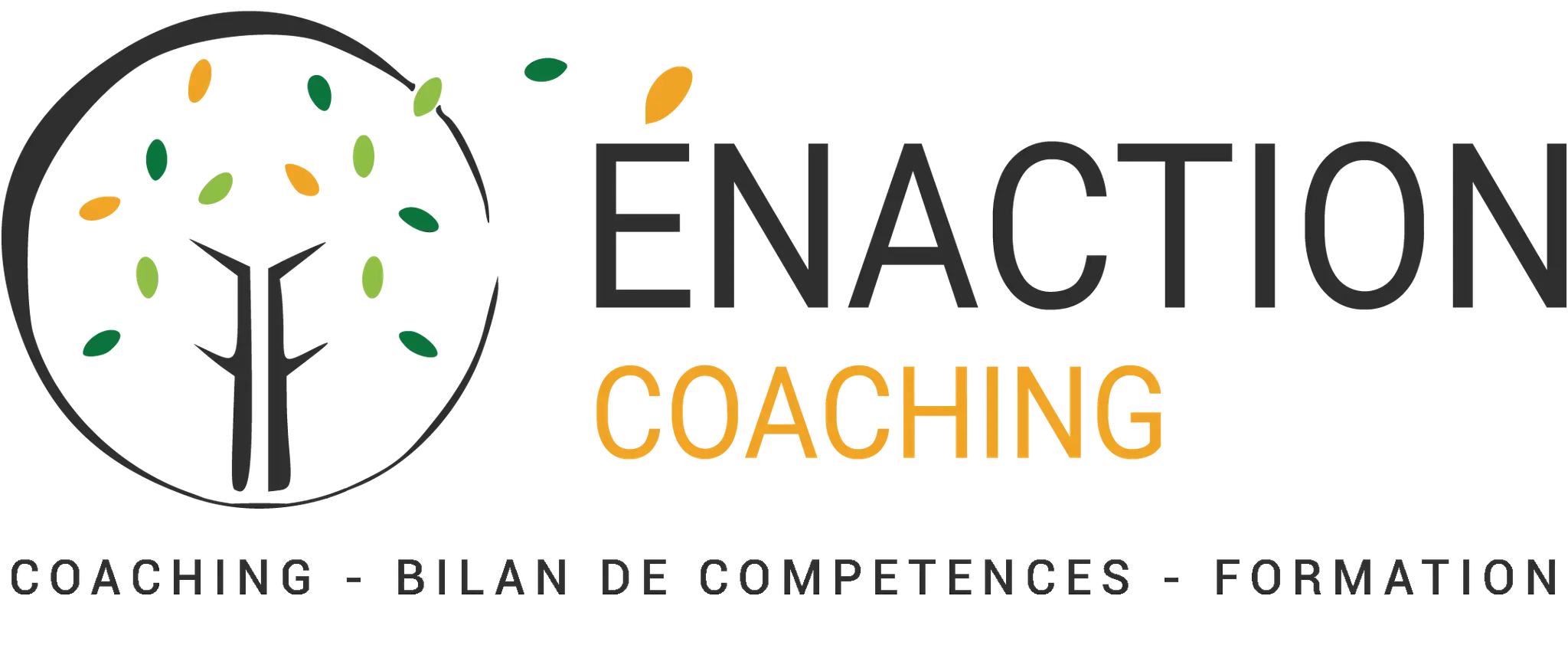 Enaction Coaching - Coach Professional Certifié Bilan De Compétences - Formation