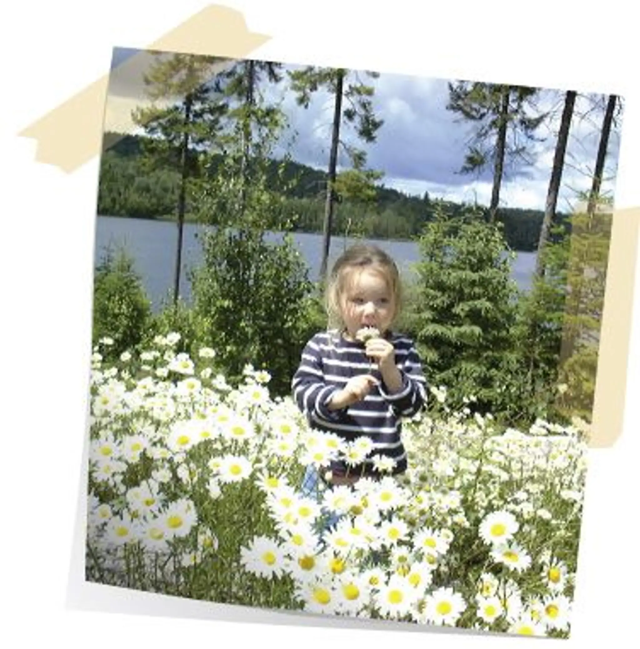 Parc municipal (plage) de Lac-douard