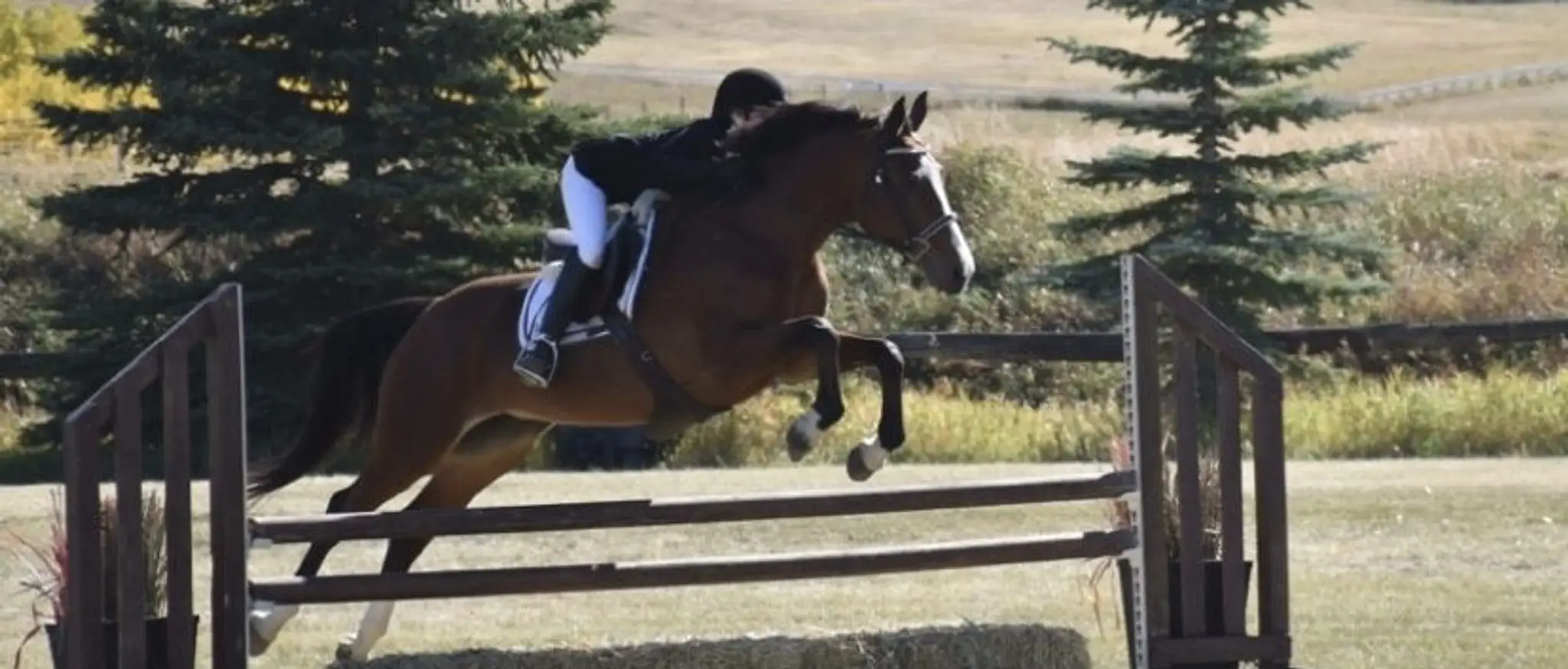 Esprix Stables High Performance Riding Club