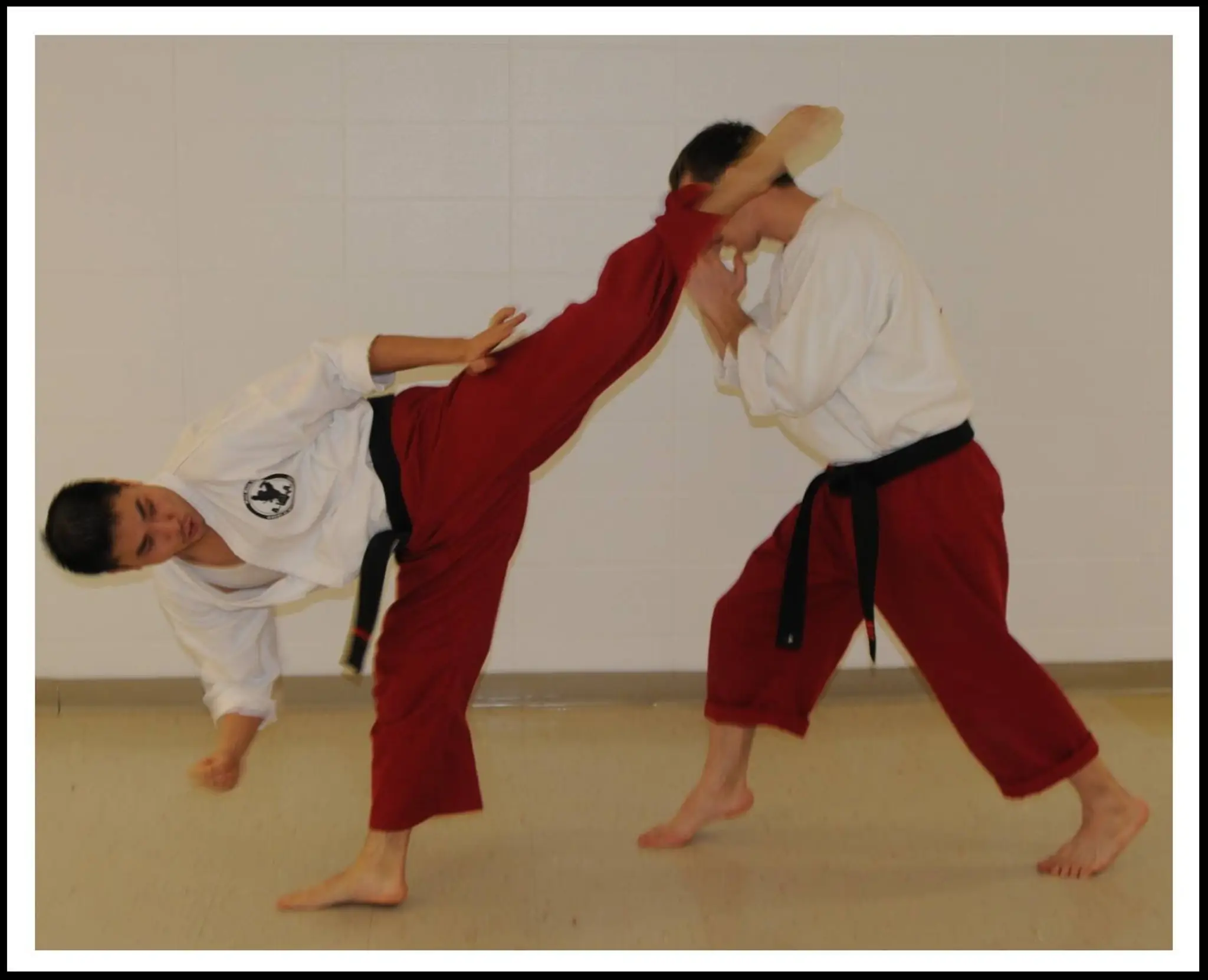 Academy of Integrated Martial Arts