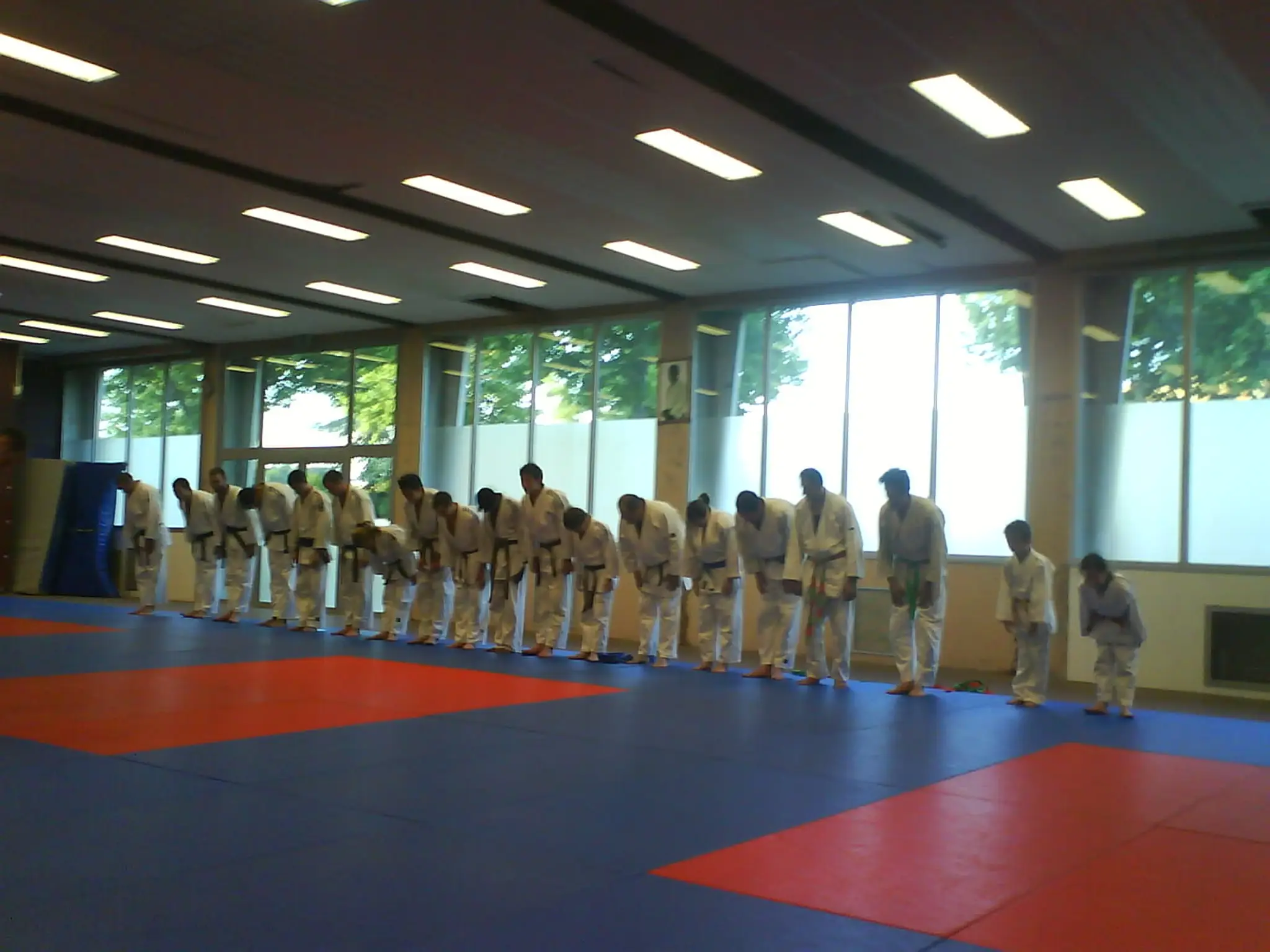 Alvp Judo
