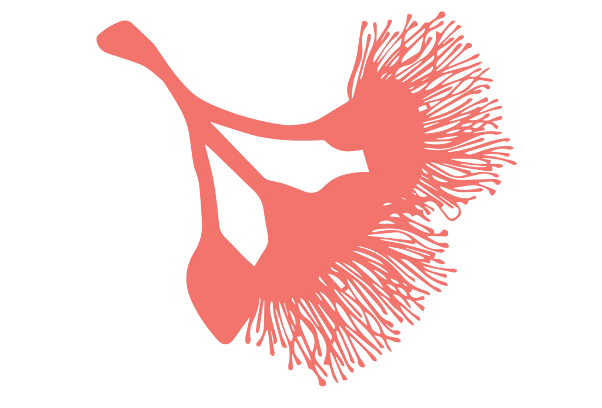 Camp Creative Bellingen