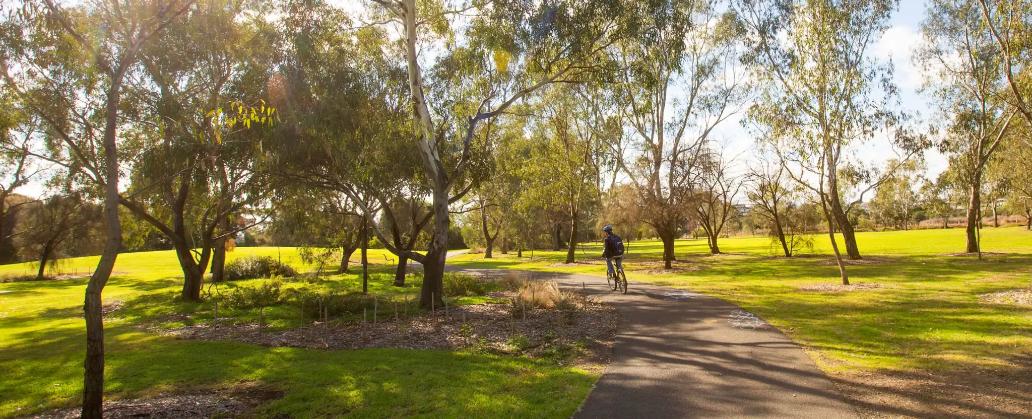 Cruickshank Park Tennis Courts