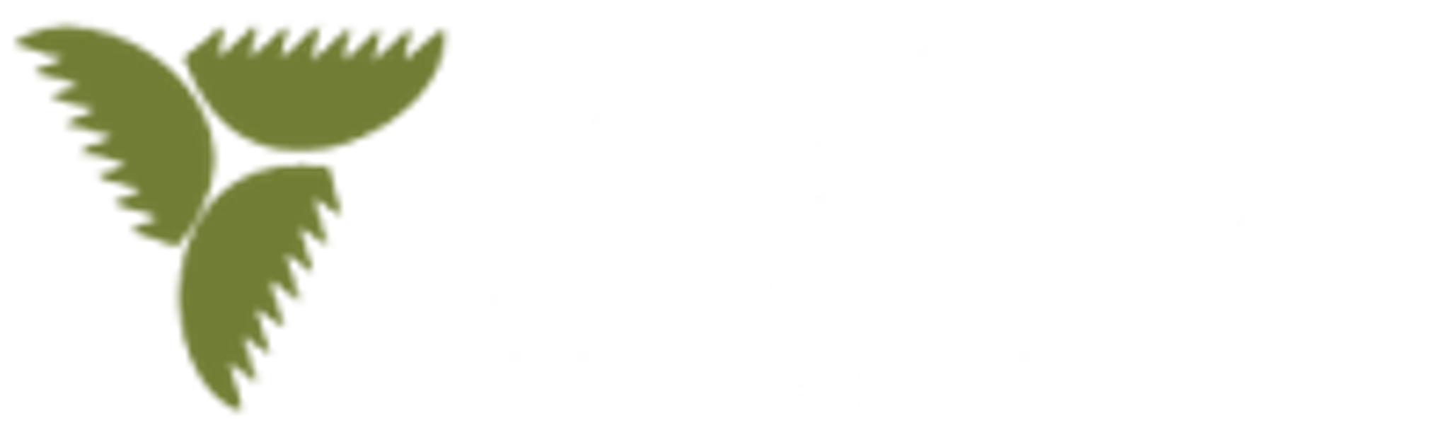 Palm Meadows Driving Range