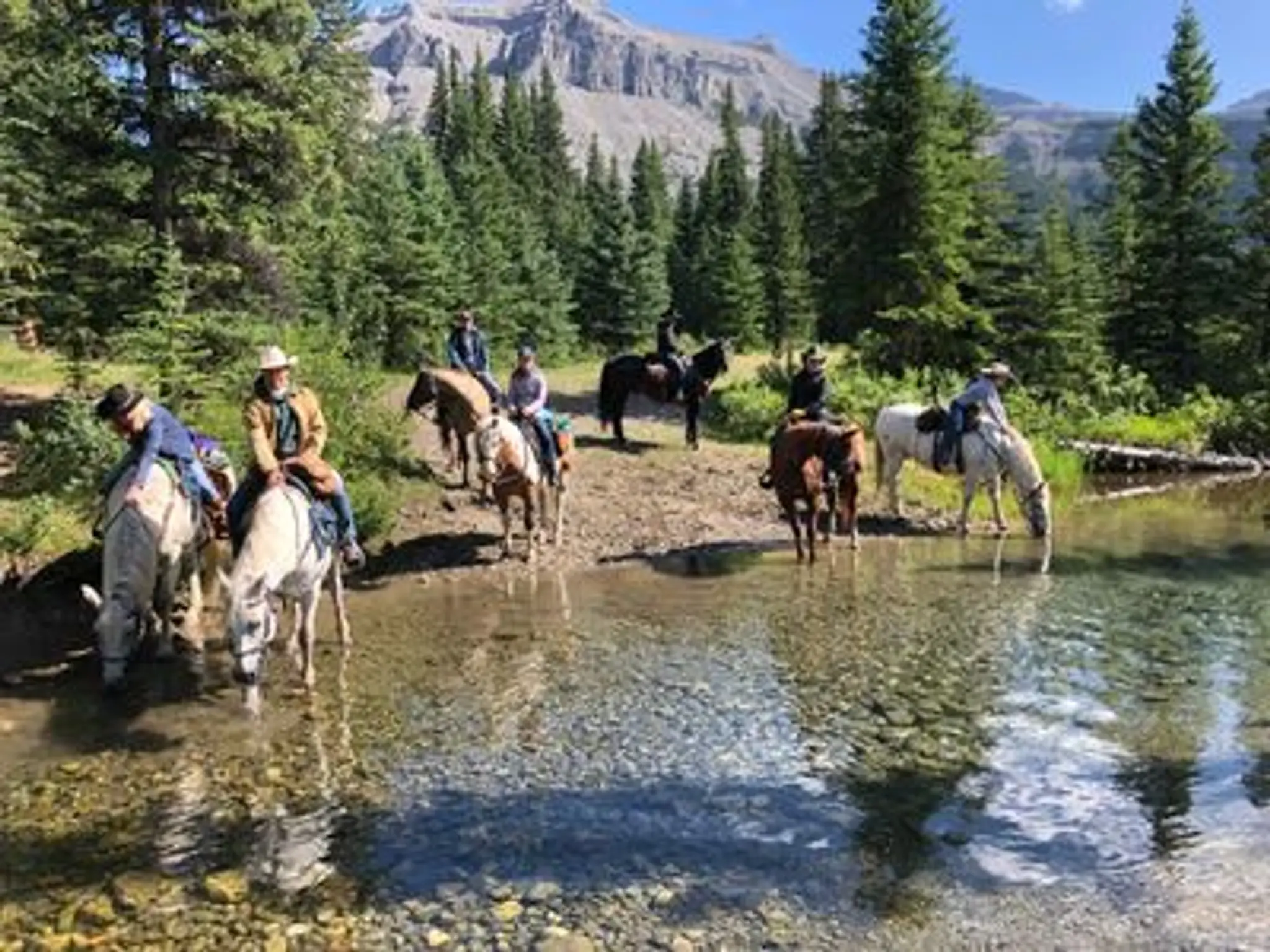 Horsepowered Adventures