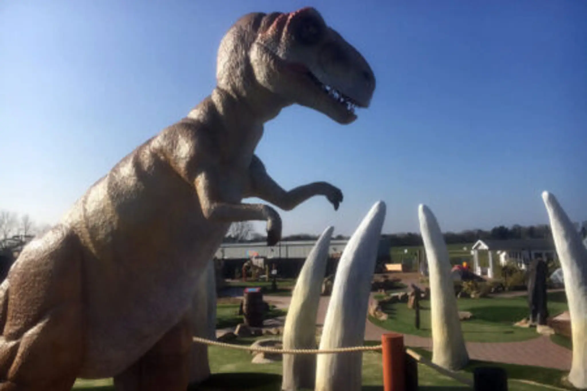 Congo Rapids Jurassic Adventure Golf