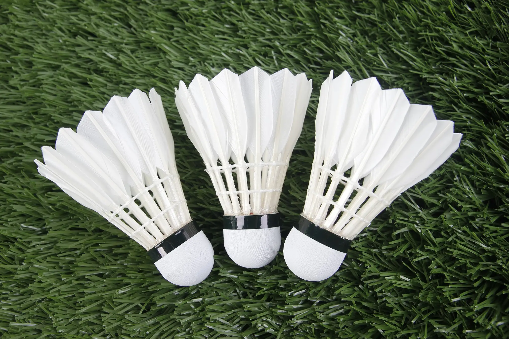 Longuenesse Badminton Club