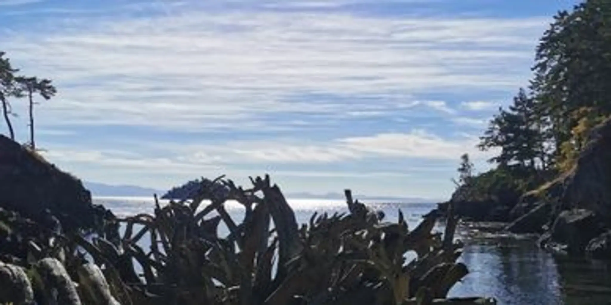 PureFit - Personal Training & Health Coaching