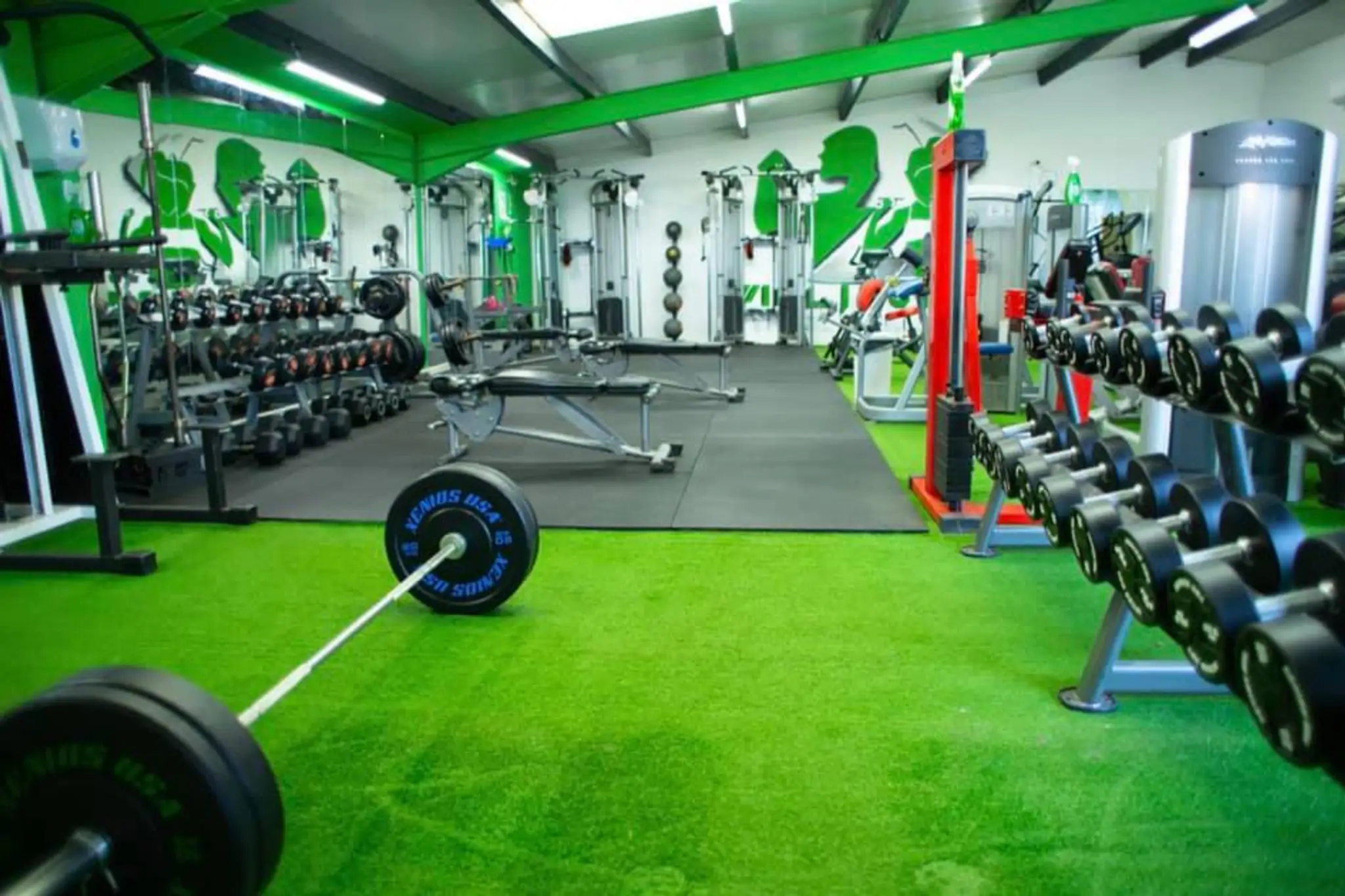 Willingham Gym and Wellness