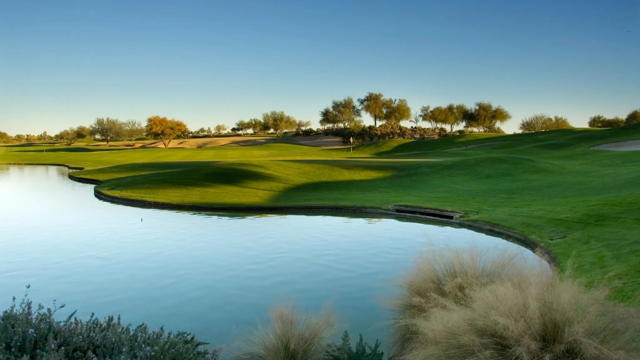 Birds Golf Sports Lounge